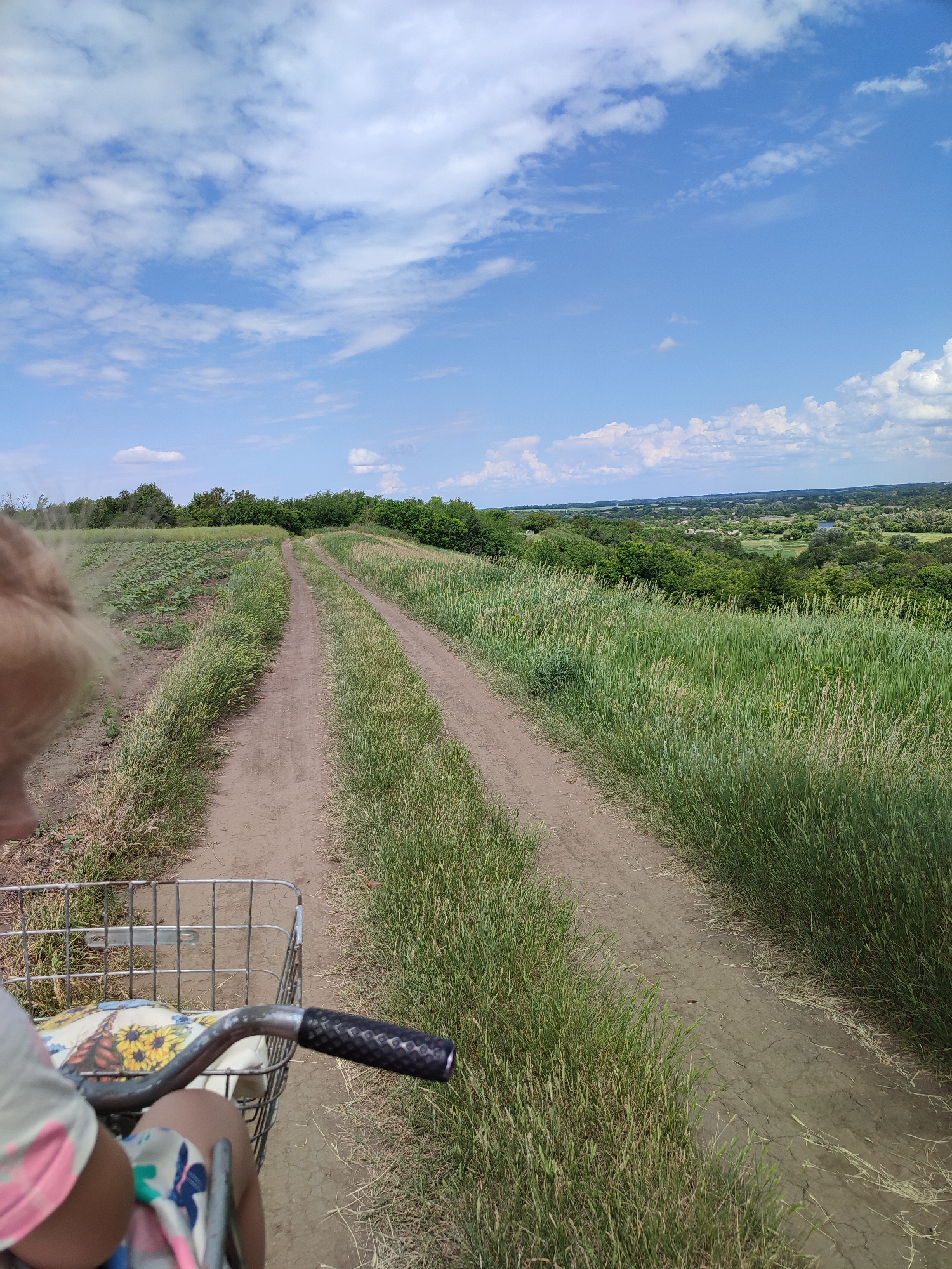 An over-the-shoulder view from a bicycle basket shows a dirt road winding through tall green grass and fields under a bright blue sky with white clouds. The road curves to the right and extends into a lush, green landscape with trees and rolling hills in the distance. On the left side of the road, a field of young plants is visible, and the edge of a colorful cushion or blanket can be seen in the basket. The scene appears to be a rural area outside of Ustyvytsia, Ukraine.