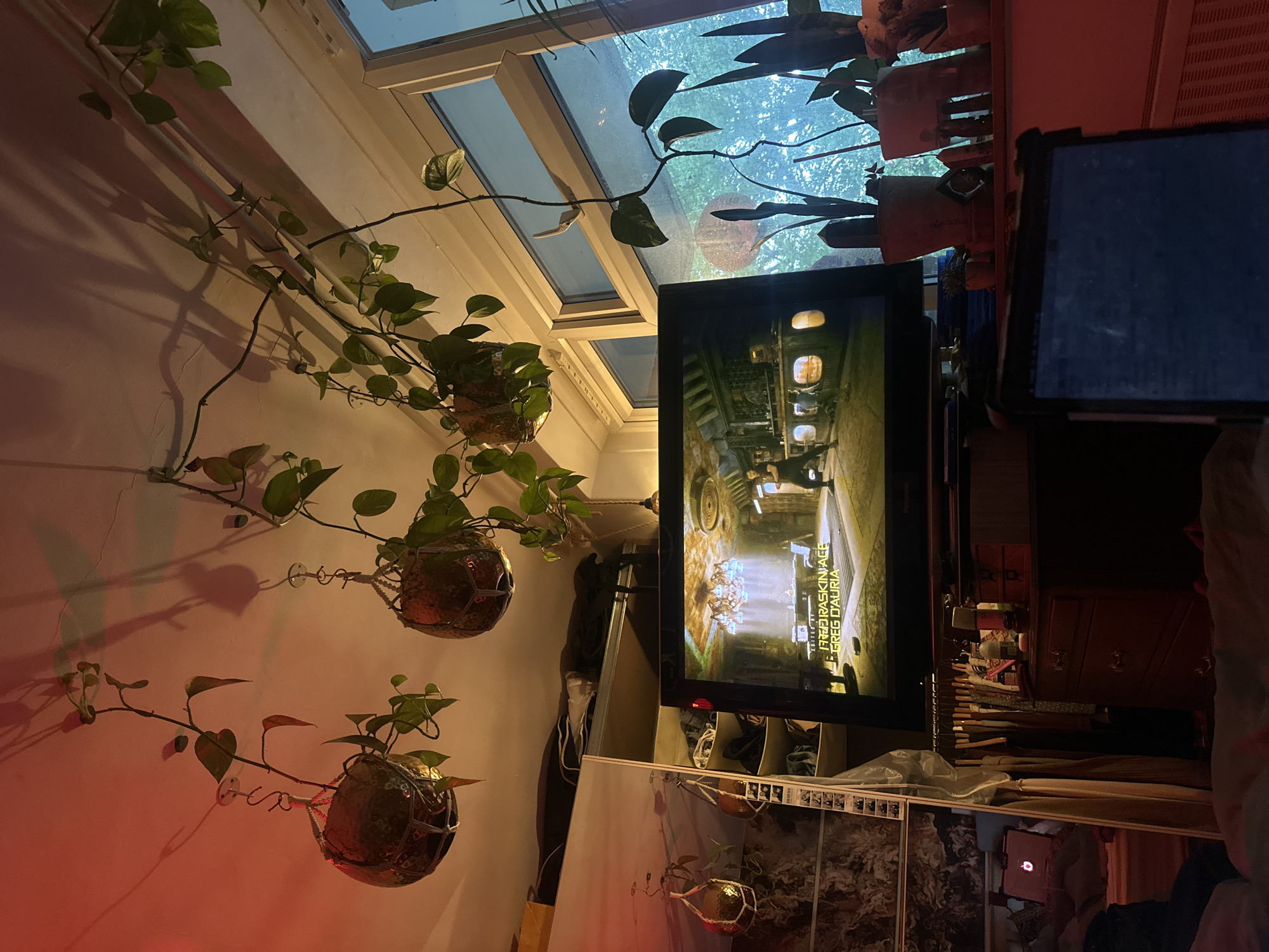 The image shows a domestic interior. Three hanging plants are affixed to a wall, with leaves extending toward a window covered in additional plants. A television is in operation, displaying a scene with text. Another screen is partially visible to the right of the television. Below and to the right, a wooden dresser and miscellaneous items are present. The image is taken from a slightly low angle. There is no evidence to suggest this is in London, United Kingdom.