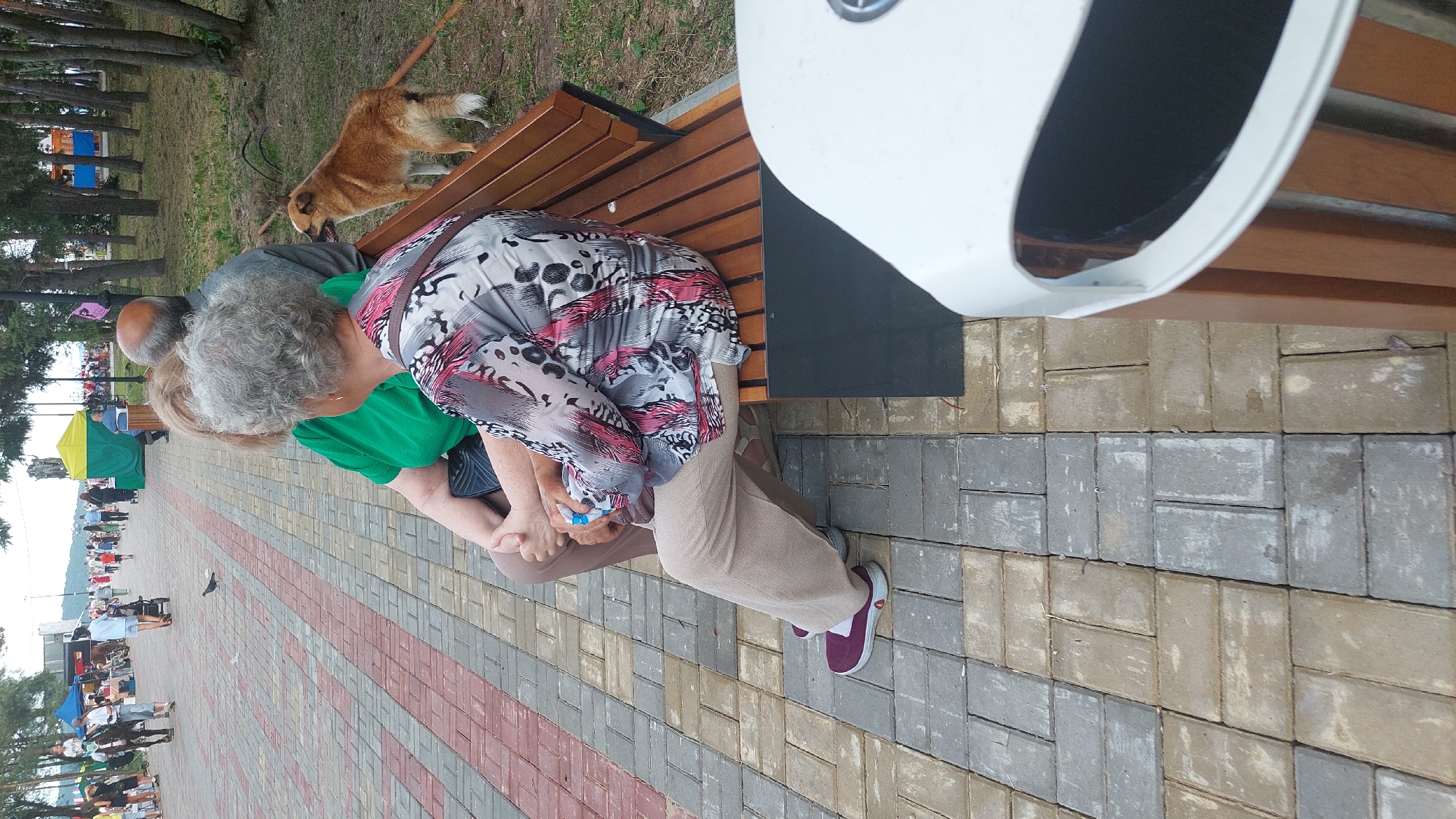 An outdoor, eye-level, medium shot shows a woman sitting on a park bench in Komsomolsk-on-Amur, Russia. The woman is wearing a patterned blouse and tan pants, and her legs are crossed. She is holding a blue object in her hands. To her right, a tan dog stands on the grass, looking to the right. Behind her, a man with gray hair is also sitting on the bench. The bench is made of wood and is located on a paved walkway. In the background, there are trees and a body of water. The walkway is made of alternating red and tan pavers. A white trash can is in the foreground on the right side of the frame.