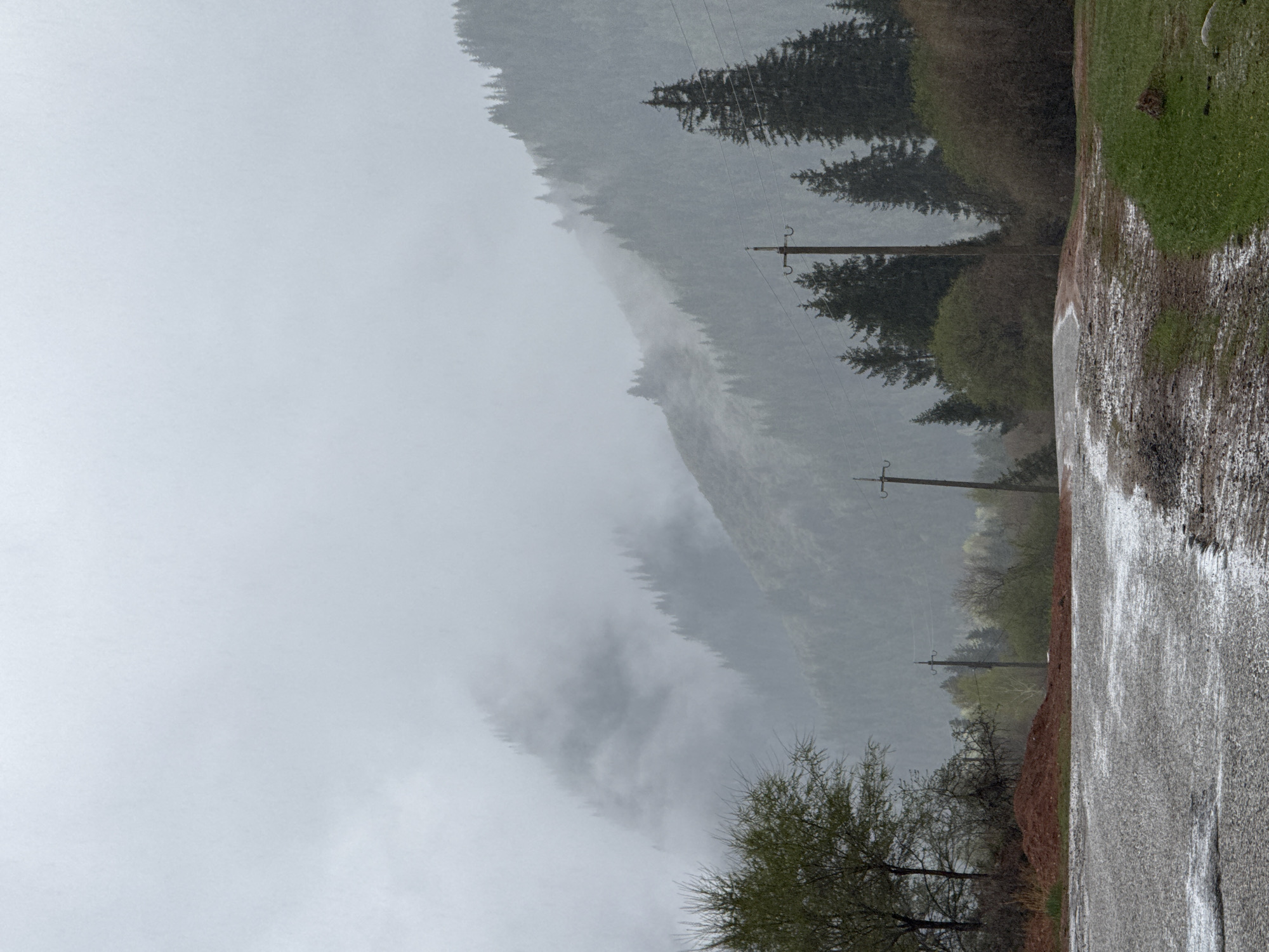 The image depicts a misty, overcast day in a mountainous or hilly region, likely in Jeti-Ögüz, Kyrgyzstan. The scene is dominated by a sense of natural tranquility and a cool, damp atmosphere.
In the foreground, on the right side, there is a wet, dark-colored road or track, possibly unpaved in sections, showing patches of white that suggest standing water or very wet ground. Adjacent to the road, a strip of vibrant green grass is visible, also appearing damp. Further to the left of the road are scattered trees, some with dark, bare branches and others beginning to show early spring foliage with sparse green leaves.
The midground is characterized by a dense forest covering rolling hills or mountains. The dark green of the coniferous trees (likely pines or firs) is softened and partially obscured by thick, swirling fog or low clouds that envelop the landscape. This creates a layered effect, with closer trees appearing clearer and those further back fading into the grey haze. Two wooden utility poles with wires run parallel to the road, extending into the misty distance, hinting at some infrastructure within this natural setting.
The background is entirely consumed by the heavy fog and overcast sky, making it impossible to discern distant features or the horizon. The overall lighting is soft and diffused, indicative of a completely overcast sky and possibly ongoing or recent precipitation.
There are no people or specific activities depicted. The scene conveys a quiet, serene, and somewhat mysterious mood due to the pervasive mist and muted colors. No visible text is present in the image.