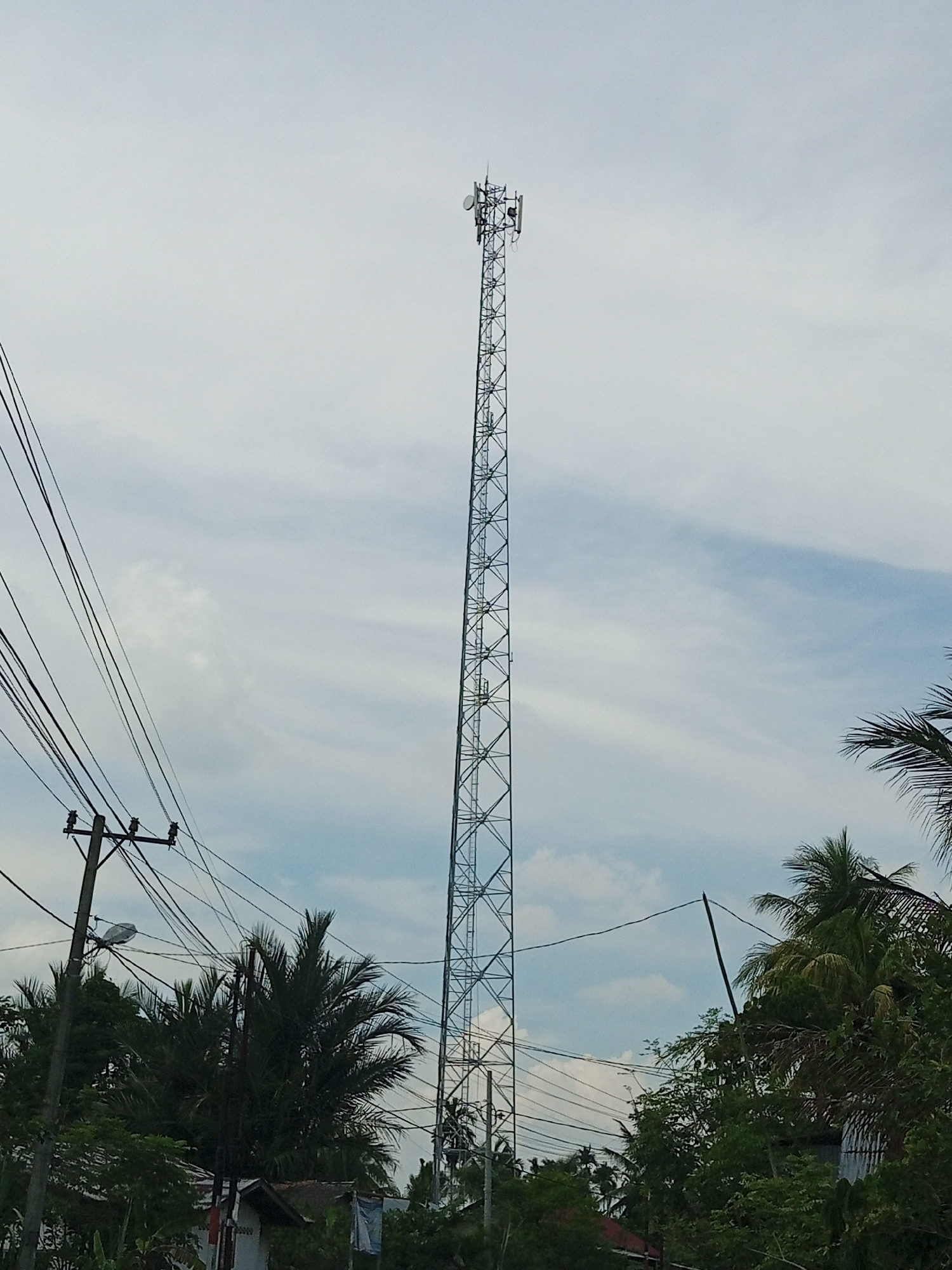 A tall, lattice-style communication tower dominates the center of the frame, reaching towards a cloudy, pale blue sky. The tower is slender and appears to be made of metal, with numerous crossbars and supports creating a geometric pattern. At the very top of the tower, several antennas and dish-like structures are visible.
In the foreground and to the left, a utility pole with multiple wires is present. The wires are numerous and appear somewhat haphazardly strung. Some are dark and thick, likely power lines, while others are thinner. A streetlamp is attached to the pole.
The base of the tower and the utility pole are partially obscured by lush green foliage, including palm trees with their characteristic fronds. Some rooftops of buildings are visible peeking through the trees, suggesting a residential or semi-urban environment. The overall impression is a somewhat cluttered, but functional, landscape in what could be a coastal or tropical region.
This scene is located in Pulorayeuk, Indonesia.