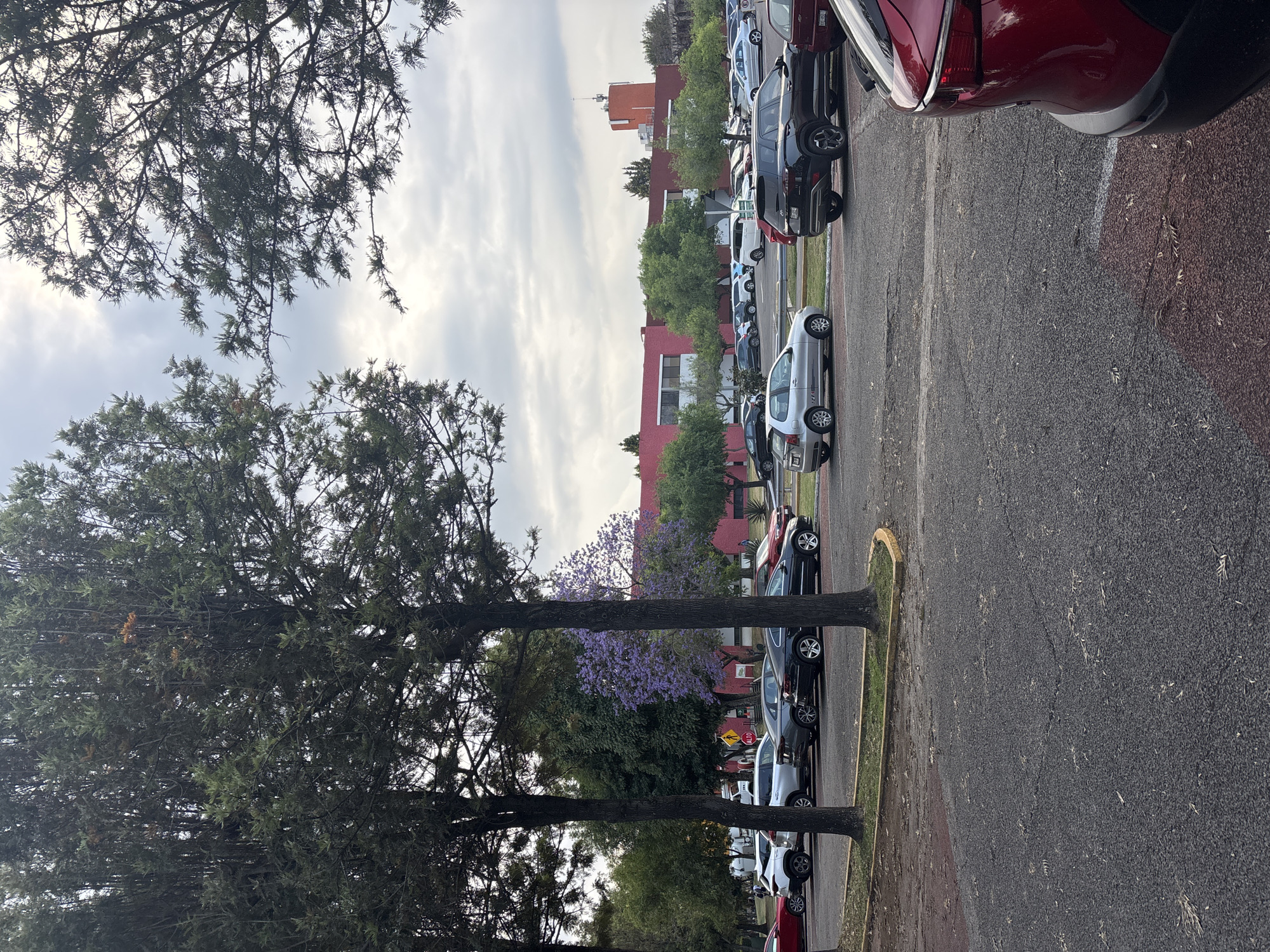 The image depicts a parking lot in San Andrés Cholula, Mexico. A row of parked cars lines the right side of the image, with a variety of makes and models visible. The parking lot surface is asphalt with painted parking space lines. A curb separates the parking lot from a grassy area where trees are planted. Two large trees occupy the left side of the frame, with their branches extending into the sky. In the background, red buildings are visible beyond the parked cars and trees. The sky is overcast with light gray clouds. A tree with purple flowers is visible among the trees. A "STOP" sign can be seen amongst the background vegetation.
