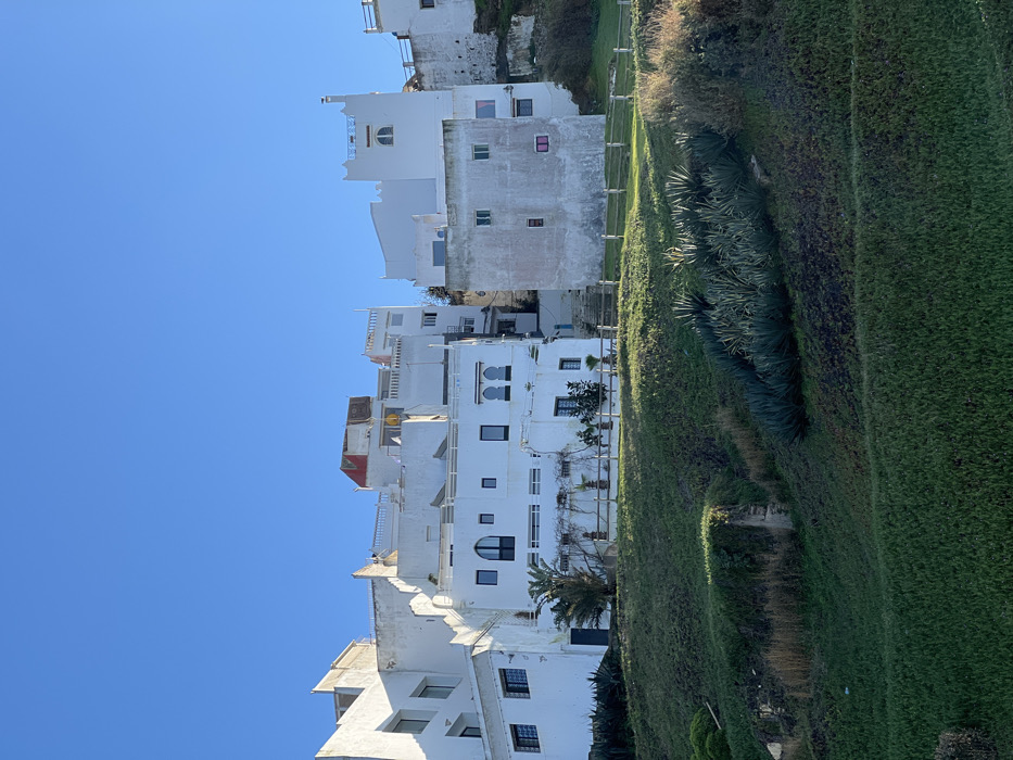 The scene depicts a residential area on a green hillside in Tanger, Morocco, under a clear blue sky. Multiple multi-story buildings, primarily whitewashed with flat roofs, are visible, ascending the slope from left to right. Sunlight from the left casts distinct shadows. The foreground features a steep, verdant incline covered with short green grass and clusters of agave plants.
Architectural details include various window shapes: rectangular, arched, and decorative grilles. Terraces with simple railings are observable on several buildings. A small palm tree is positioned near the base of one of the central white structures, adjacent to a low wooden fence marking a garden area. To the right, a prominent weathered building displays a grey, stuccoed facade with small, irregularly placed rectangular windows, some revealing colored interior elements (green, red, pink). Next to this, a taller white building features a distinctive crenellated parapet at its roofline and a single arched window. No individuals or active subjects are depicted.