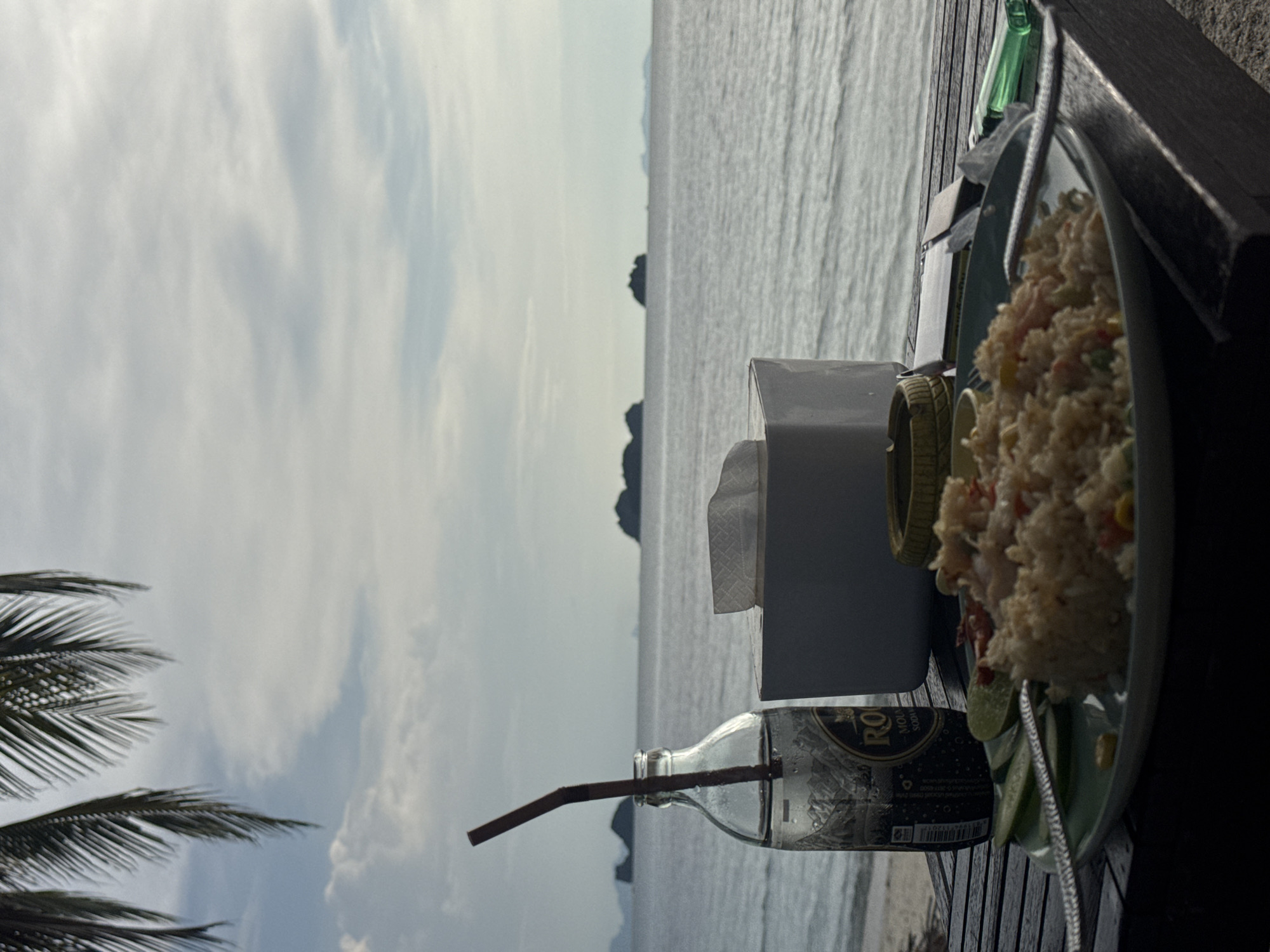 A bottle of Root Beer with a straw, a box of tissues, and a plate of fried rice sit on a wooden table. In the background, a calm ocean stretches out towards a hazy horizon, dotted with several distant islands. Palm fronds hang from the upper left corner of the frame, suggesting a tropical, outdoor setting. The lighting suggests it is late afternoon or early evening.
