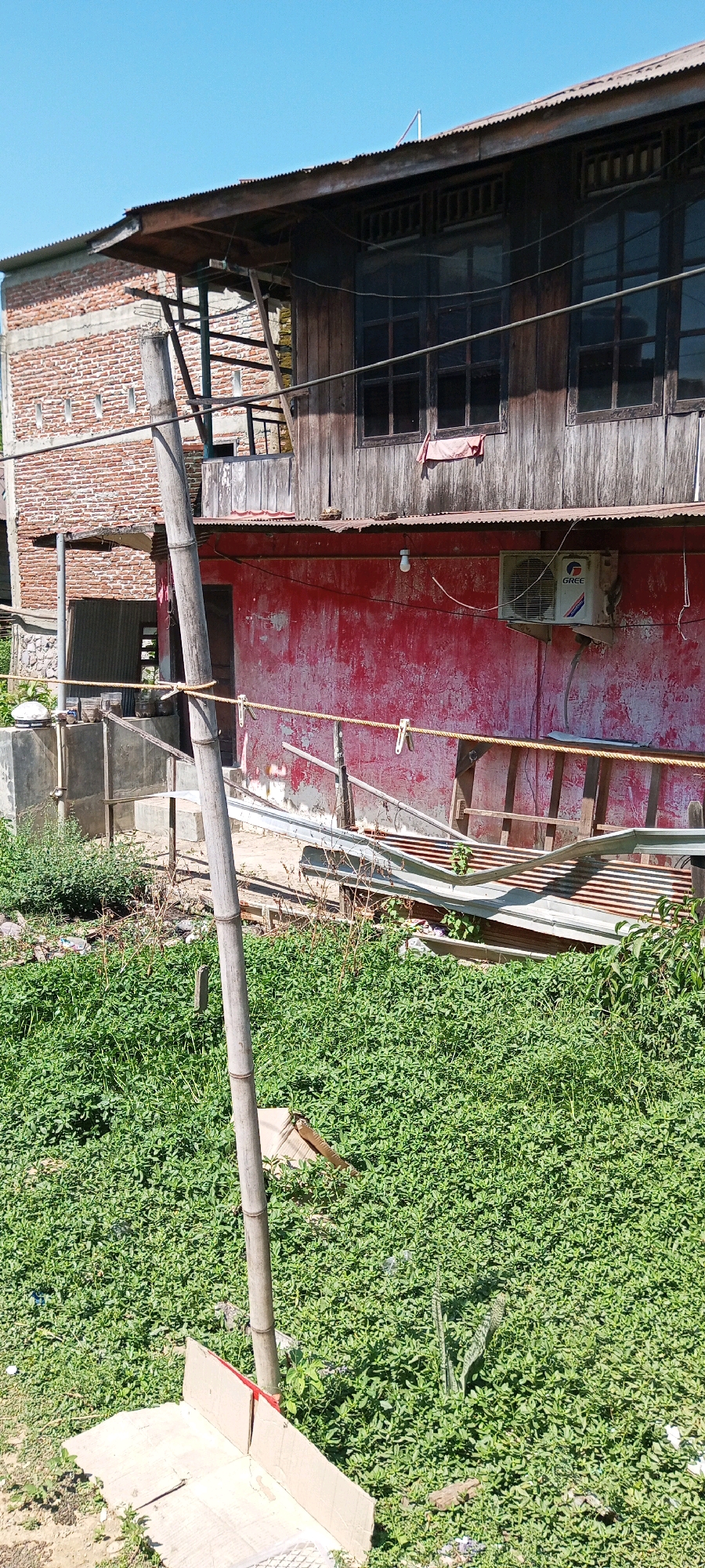 The image depicts an outdoor scene in Sengkang, Indonesia, under a clear blue sky. In the foreground, a dense ground cover of small green plants dominates the lower half of the frame. A prominent, light-colored bamboo pole stands vertically in the center, anchored by pieces of cardboard at its base.
Behind the vegetation, a two-story structure is visible. The lower story is painted bright red and appears somewhat weathered, with peeling paint. A white air conditioning unit is mounted on the red wall. A closed door is present on this level. Above the red wall, a wooden second story features multiple windows with dark panes and wooden frames. The roof of the structure is corrugated metal. To the left of the wooden section, a brick wall is partially visible. In the mid-ground, various objects are present, including what appears to be corrugated metal sheeting, wooden planks, and a length of rope strung horizontally with clips attached. The overall impression is one of a somewhat untidy, possibly under-construction or aging, residential or commercial area.