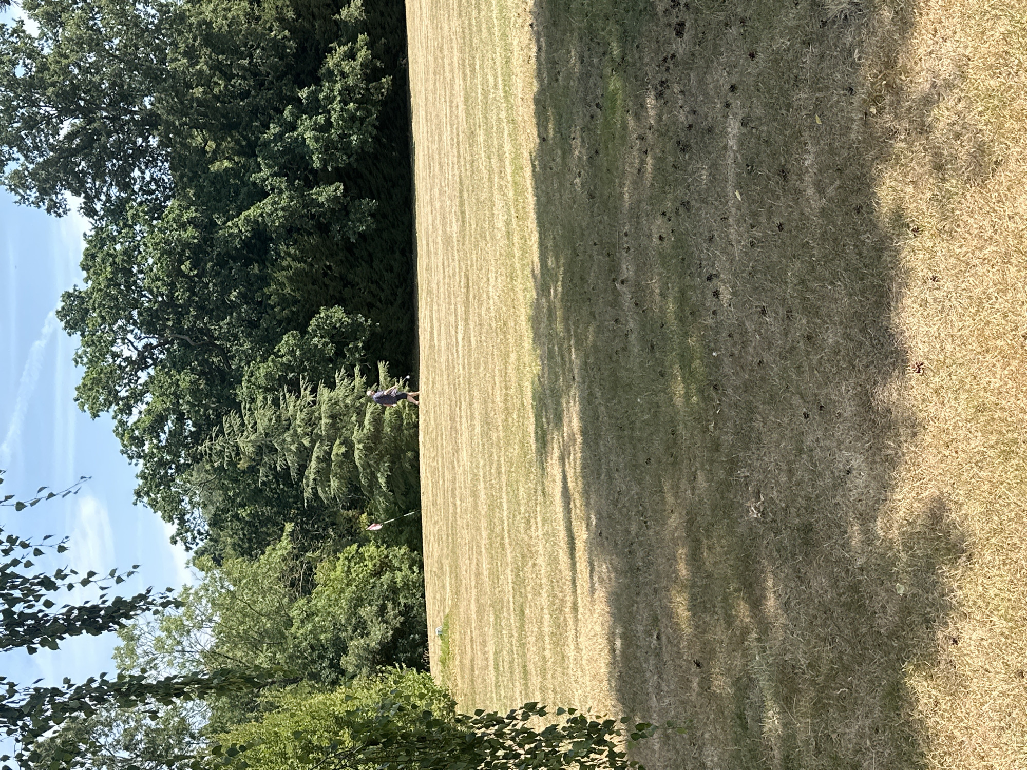 The image depicts a park-like setting on a sunny day, likely in Epsom and Ewell, United Kingdom, characterized by dry, mown grass with visible stripes from a lawnmower. The foreground and middle ground consist of this dry grass, with patches of shade cast by unseen trees. In the middle distance, a person is walking from right to left across the lawn. Behind the grassy area, a dense line of various trees forms the background, with some taller evergreen trees interspersed with deciduous ones. In the far left of the image, the branches of a leafy tree hang into the frame, suggesting this is a park or a large garden. The sky is blue with some faint clouds. There are small, light-colored objects, possibly markers or small decorative items, visible on the grass in the middle distance. The overall impression is one of a well-maintained outdoor space on a warm, bright day.