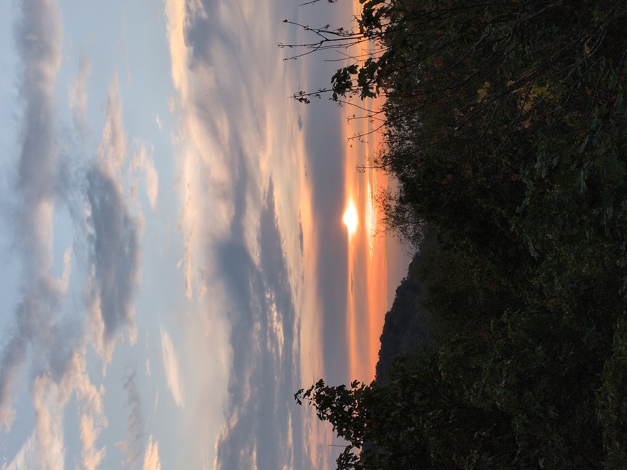 This is a photograph of a sunset over a forested landscape. The sun is a bright orb low on the horizon, casting a warm orange glow that illuminates the clouds above. The clouds are a mix of grays and pinks, with some wispy cirrus clouds stretching across the sky. In the foreground, the dark silhouettes of trees and foliage frame the scene. The trees appear dense and lush, with some bare branches visible among the leaves. The landscape slopes downwards from left to right, suggesting a hilly or mountainous terrain. The overall impression is one of natural beauty and tranquility. The location in Little Wenlock, United Kingdom, suggests a rural or semi-rural setting.