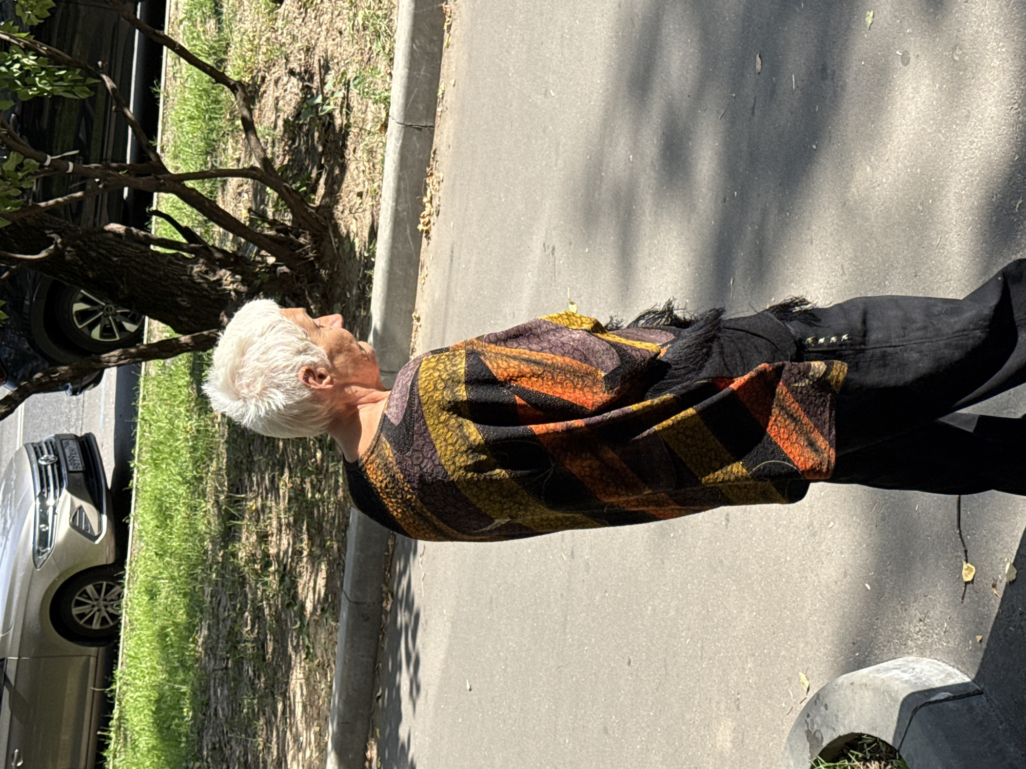 The image captures a full-body view of an elderly person with short, white hair walking on an asphalt road. The person is wearing a colorful, patterned poncho with fringe detailing and dark pants. In the background, a gold car is parked on the side of the road next to a patch of green grass and a small tree with visible branches. The scene appears to be in an urban environment, likely a street in Moscow, Russia, suggested by the style of the car and the overall urban setting. The lighting indicates it is daytime, with shadows cast by the trees on the road.