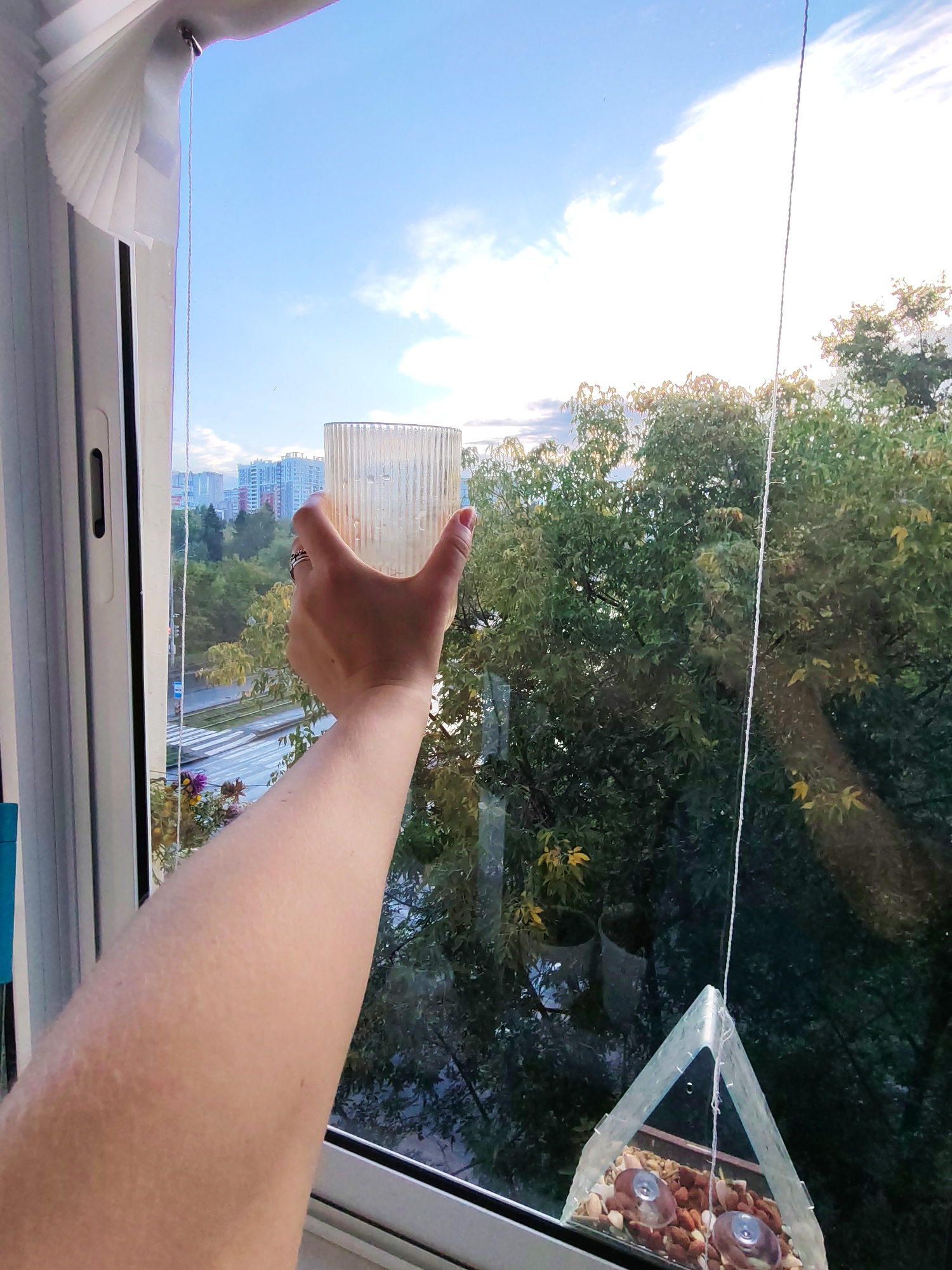 An over-the-shoulder, first-person view from inside an apartment in Izhevsk, Russia shows a hand holding a glass of water up to the window. The glass is clear, ribbed, and half-filled with water, with a small ring on the person's ring finger. Outside the window, tall apartment buildings and lush green trees are visible under a partly cloudy blue sky. A traffic light and tram tracks can be seen on the street below. A triangular bird feeder made of clear plastic hangs outside the window, filled with birdseed and nuts. The blind on the left side of the window is partially open. The lighting suggests it is late afternoon.