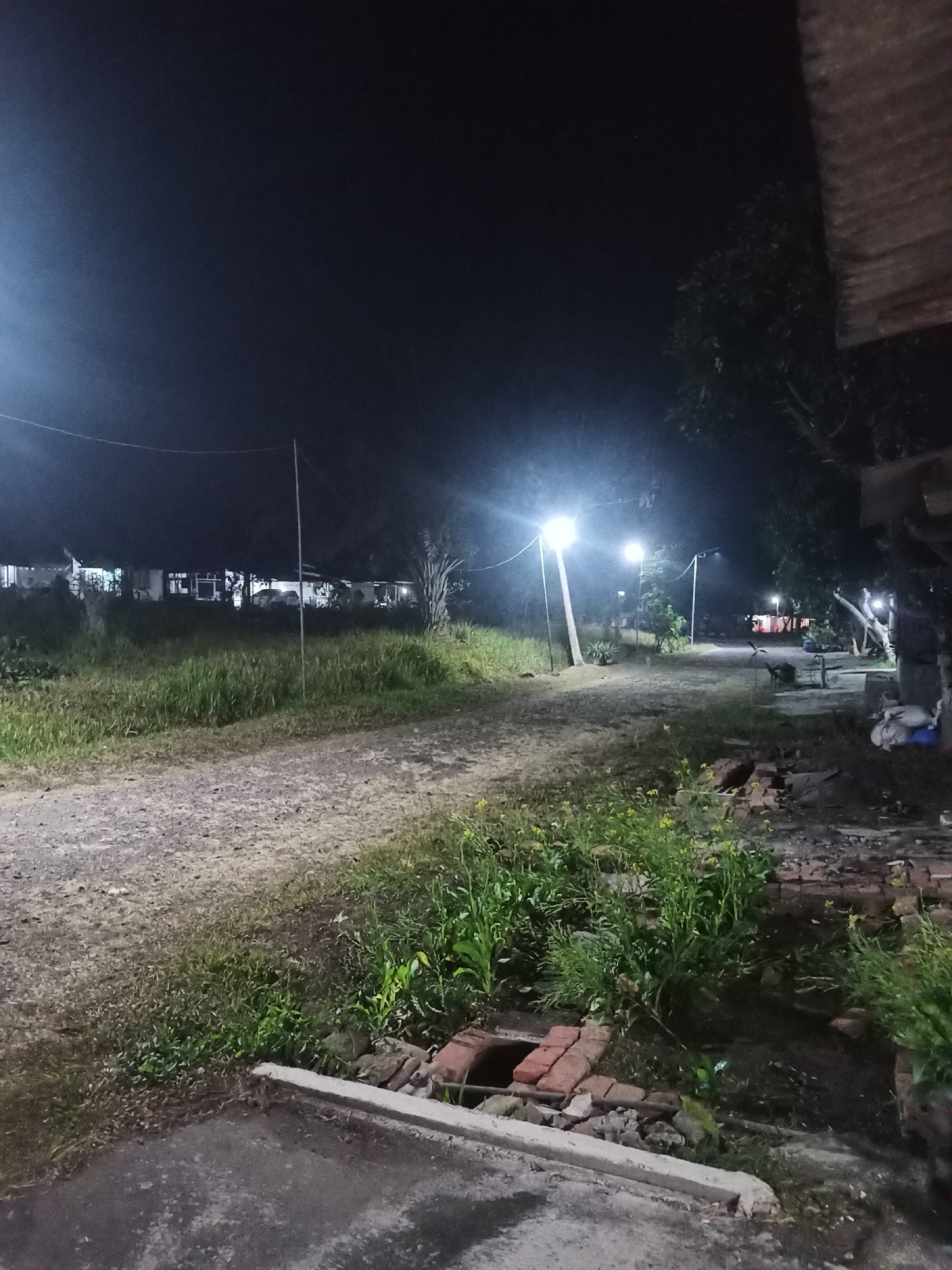 The image depicts a nighttime scene on a dirt road in Randuagung, Indonesia. Several streetlights illuminate the area, casting a glow on the road, tall grass, and surrounding vegetation. In the background, buildings with illuminated windows are visible, suggesting a residential or commercial area. The overall atmosphere is quiet and serene, with no people or animals present in the frame. The lighting suggests it is late at night or early morning.