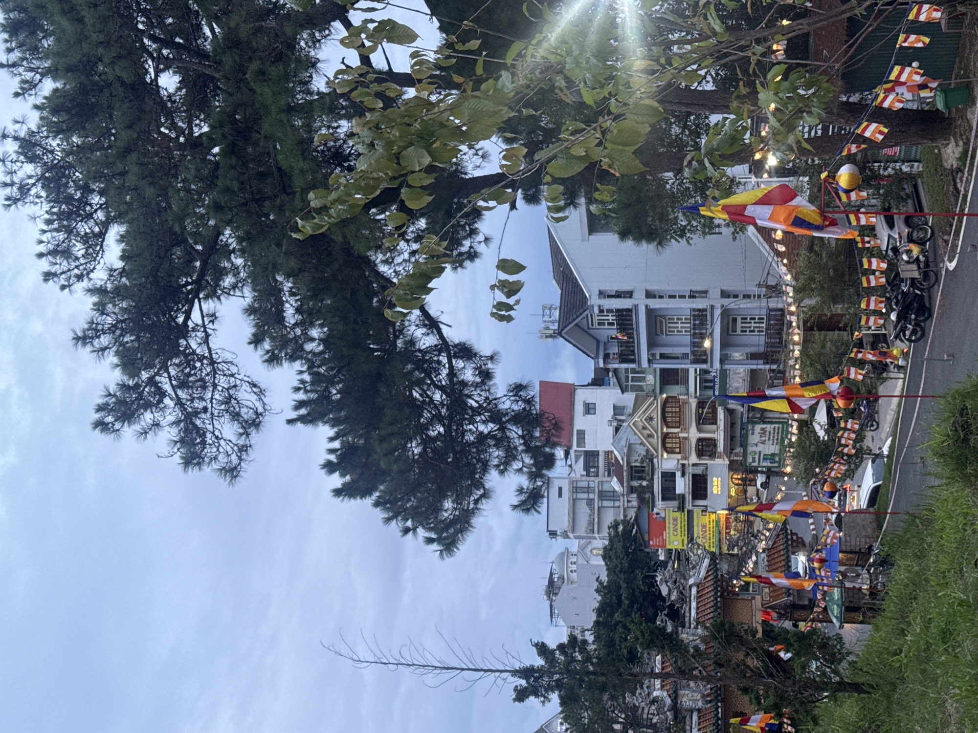 The image shows a street scene in Da Lat, Vietnam, with a view looking down a hill. A large conifer tree dominates the upper left of the frame, partially obscuring the sky. The sky is overcast with hints of pale blue. Buildings of varying heights and architectural styles line the street below, mostly painted in light colors. Buddhist prayer flags are strung across the street, adding vibrant color. Motorbikes are parked along the street. The environment is urban. No people are visible.