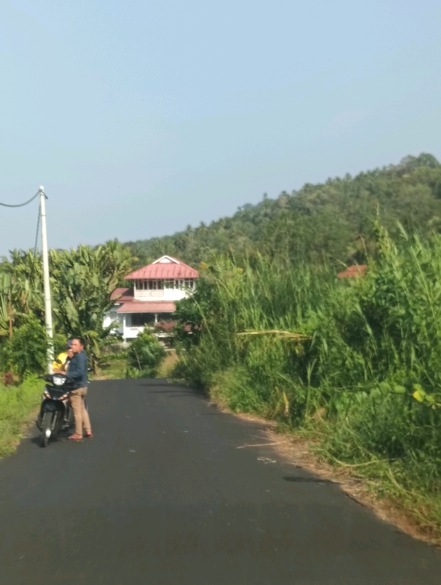 An overcast day provides a diffused light over a scene in the city of Tomohon, Indonesia. In the foreground, a man in a blue jacket and tan pants is stopped on a black motorcycle, holding a yellow helmet. He is positioned on the left side of a paved road that curves slightly to the right. Lush, green vegetation lines both sides of the road, with tall grasses and broad-leafed plants dominating the right side. In the background, a white two-story house with a red-tiled roof is visible amidst dense foliage. The house has a balcony on the upper level and a covered porch on the lower level. Beyond the house, a hillside covered in trees slopes upwards, meeting a pale, hazy sky. A utility pole with wires stands on the left side of the road, near the motorcyclist.