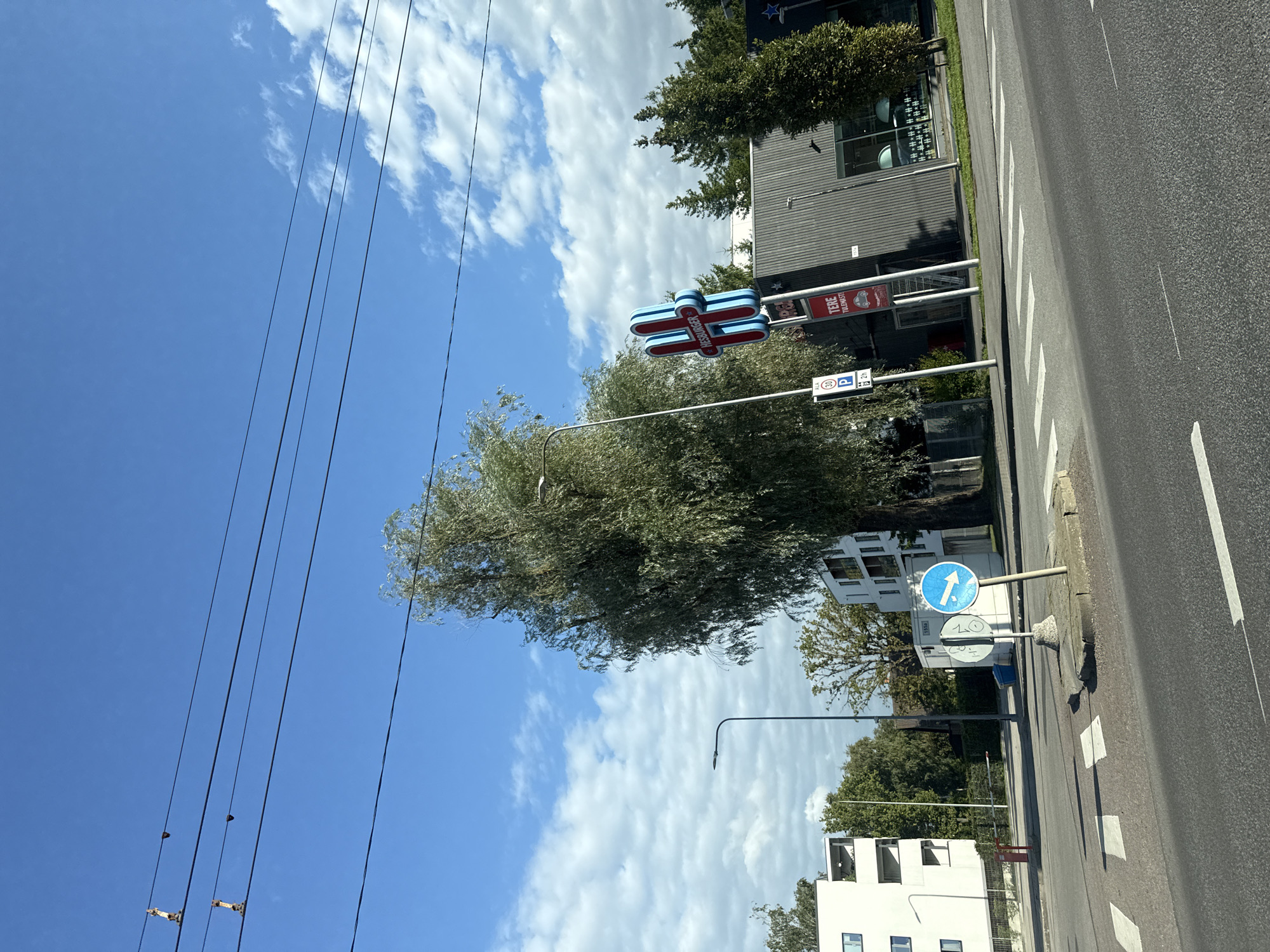 The image depicts a street scene in Tallinn, Estonia, likely near a commercial area. In the foreground, a paved road with white pedestrian crossing markings is visible. To the right of the road, a light gray building with a dark gray facade and large windows stands. A prominent sign for Hesburger, a fast-food chain, is displayed on a blue and red illuminated structure in front of the building. Adjacent to the Hesburger sign, a red sign with white text reads "TERE TULEMAST," meaning "Welcome" in Estonian.
On the left side of the image, a white multi-story building with several windows and balconies is partially visible. Between the buildings and the road, there is a sidewalk area with traffic signs, including a blue circular sign with a white arrow indicating a turn to the right and a parking sign. A tall, slender street lamp stands on the left. A large tree with feathery, light green foliage dominates the center of the frame. In the background, more trees and buildings can be seen, and the sky is a bright blue with scattered white clouds. Power lines are strung across the upper portion of the image.