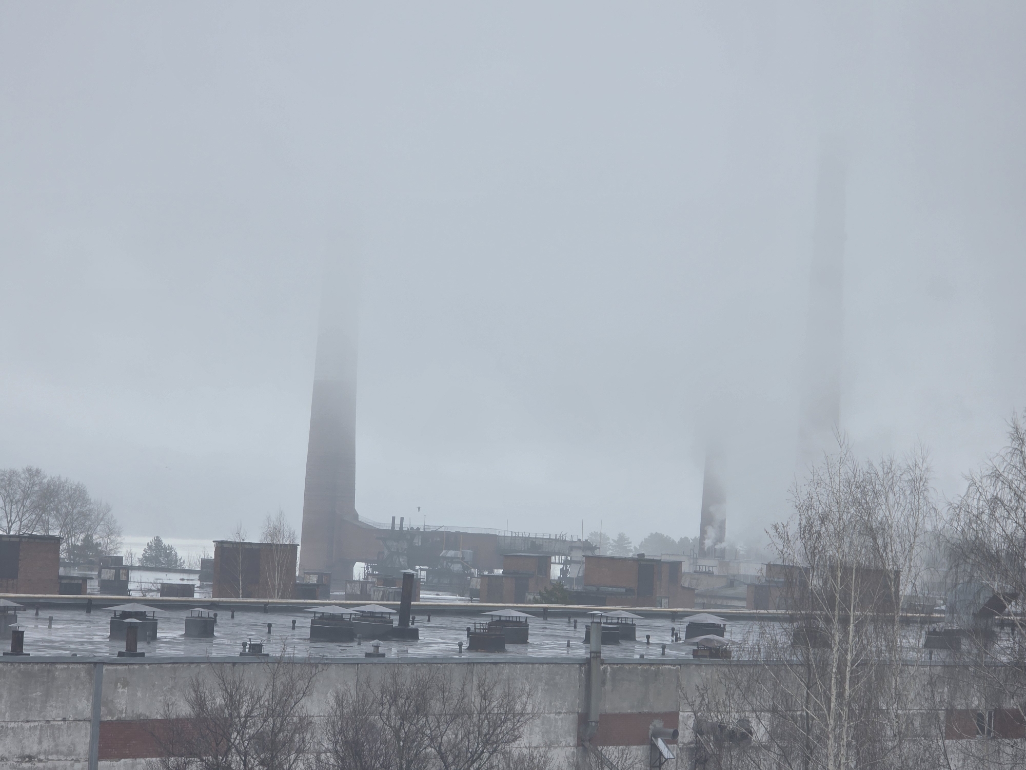 The image depicts an industrial landscape in the city of Chaikovsky, Russia, on a foggy or overcast day. Two brick smokestacks are visible, partially obscured by fog. Several buildings and structures with flat roofs are situated in the mid-ground, some with pipes or vents. The foreground shows the roof of a building or structure, possibly a factory or industrial facility, with grey concrete and brick elements. Bare tree branches are in the lower part of the image, adding to the stark atmosphere. The overall scene suggests an industrial area with potential environmental impact due to smoke or emissions.