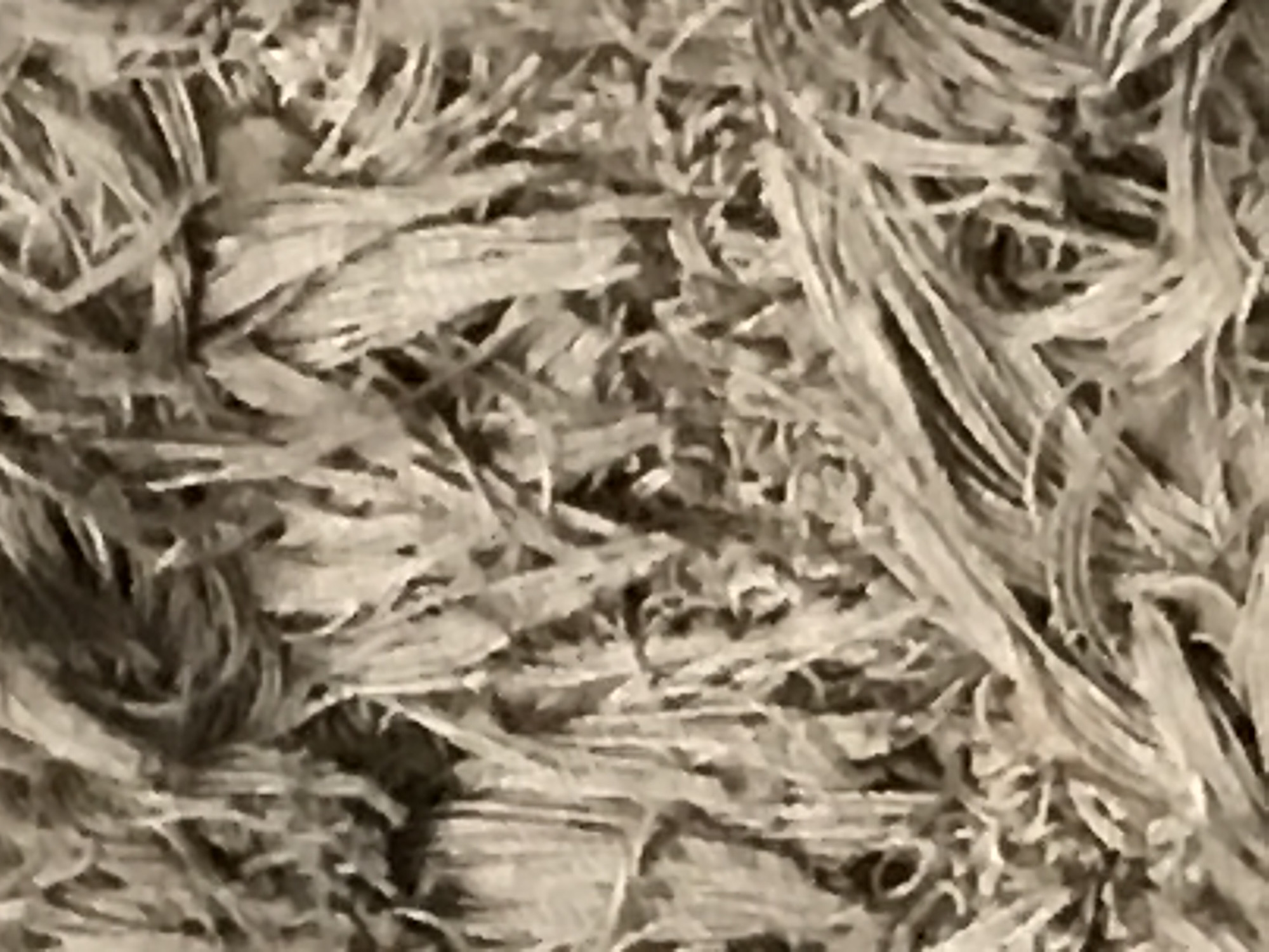 The image shows a close-up of tangled, fibrous material, possibly a rug or a pile of shredded paper. The color is a muted beige or grey. There is no discernible context to indicate a specific location in Yerevan, Armenia, or any other place. No people, subjects, actions, or interactions are visible.