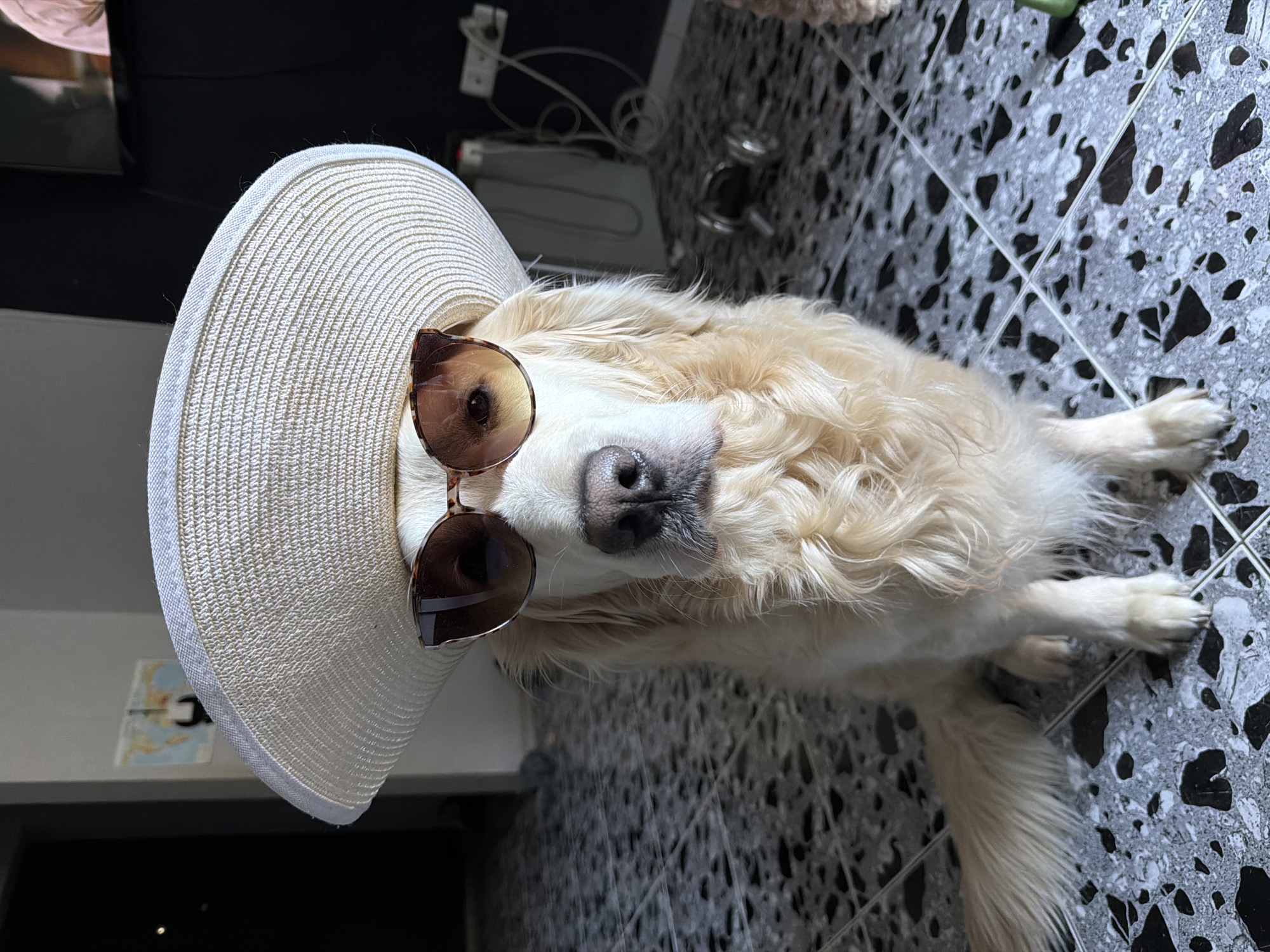 A medium shot depicts a golden retriever dog wearing sunglasses and a white straw hat in an indoor setting. The dog is lying on a patterned grey and black tile floor. In the background, electrical equipment and other objects are partially visible. The setting appears to be inside a building, possibly in Tbilisi, Georgia, though there's no specific visual element confirming the city.