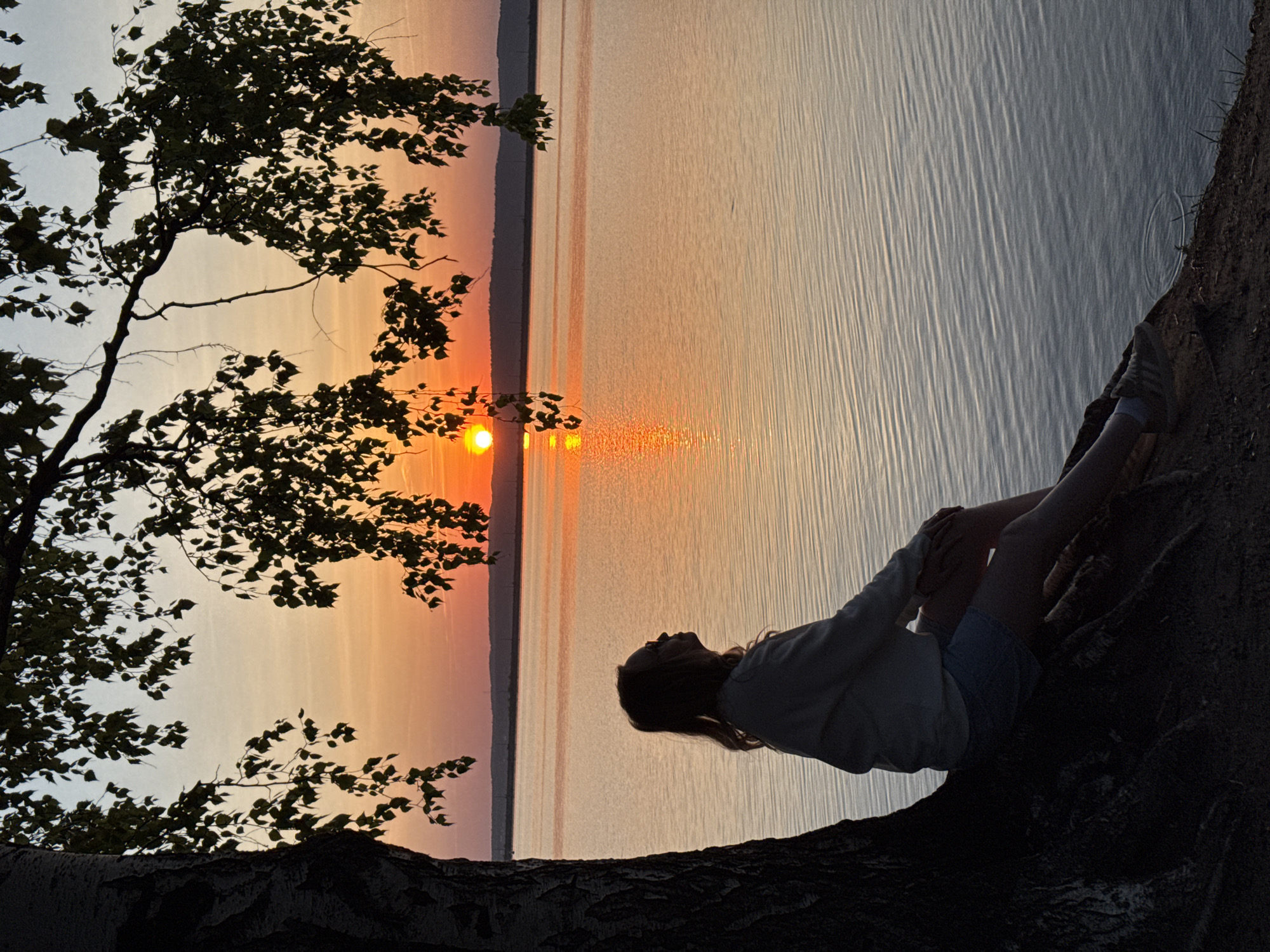 A photograph, shot from ground level, shows a woman seated on a tree root with a body of water and sunset in the background. The woman is wearing a light-colored sweatshirt and dark shorts, and her legs are crossed. A tree with leaves extends from the left side of the frame. The sun is visible over the water, creating a reflection. The landscape is Chaikovsky, Russia.