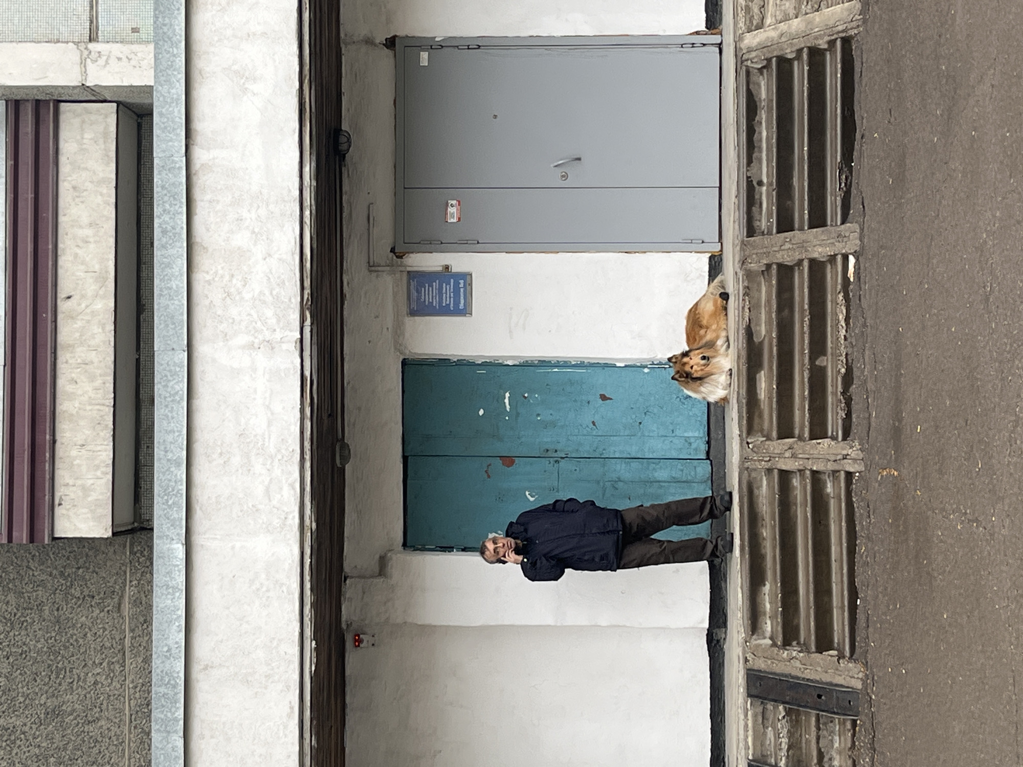 A medium-range, slightly skewed view shows a narrow courtyard in what appears to be a building in Krasnoyarsk, Russia. The courtyard is flanked by concrete walls, with various utility doors visible.
On the right side, a section of corrugated metal and concrete forms part of the wall. A dog, predominantly tan and white, peers out from between the door and the wall.
Further down the courtyard, a man in a dark jacket and brown pants is standing and apparently talking on a cell phone. His posture and attire are casual.
Above the man, a weathered blue door contrasts with a gray utility door higher up. A sign is attached to the wall beneath the gray door, and a security light is present to the left of the blue door.
To the left, a section of the building's facade is visible, with varied textures and materials. The setting suggests a functional, possibly industrial, area of the city.