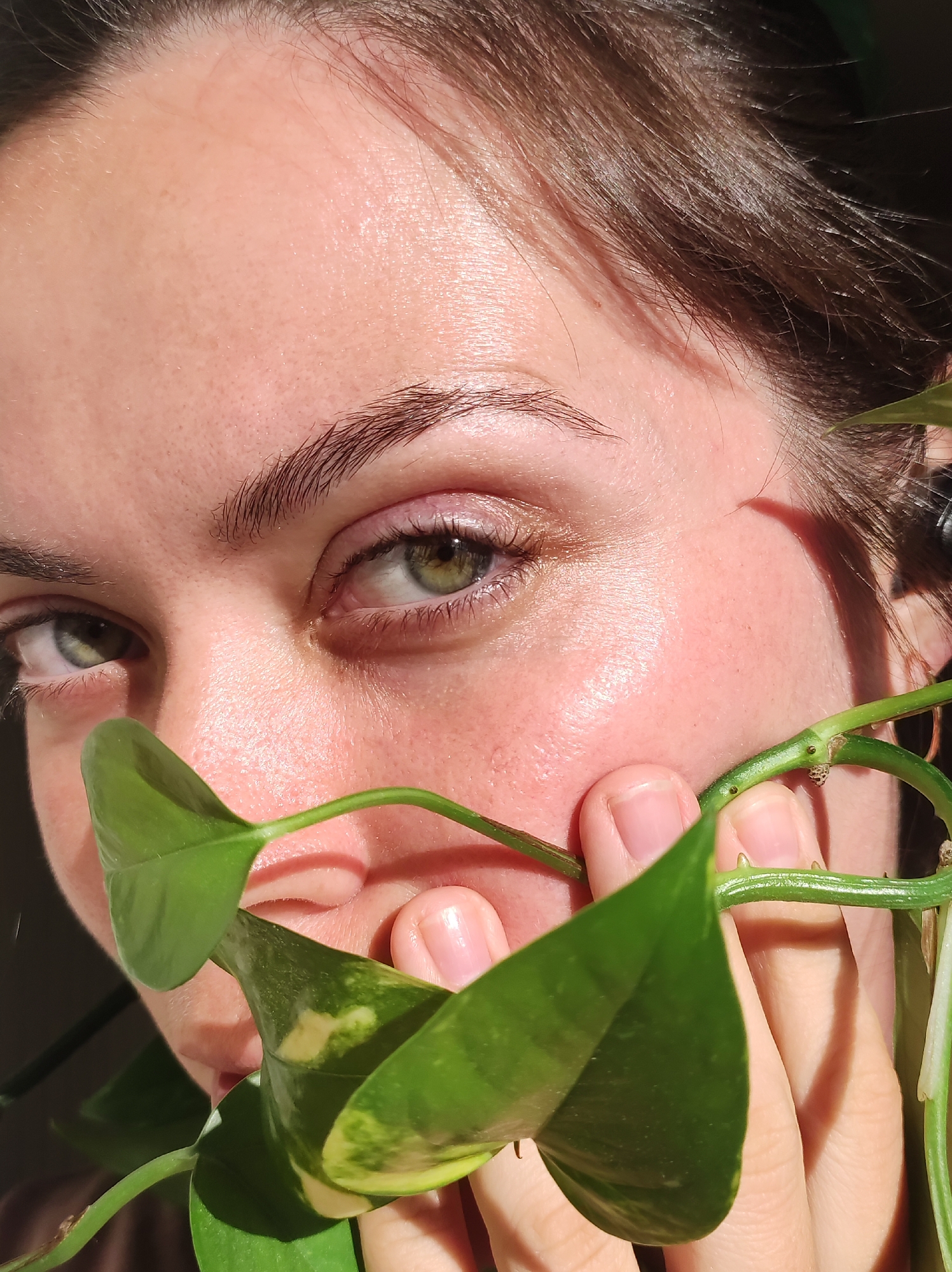 A close-up portrait captures an individual partially obscured by a vining green plant. The person's face, particularly the eyes, forehead, and upper cheeks, is prominently featured. They have distinct greenish-hazel eyes with visible eyelashes and natural, medium brown eyebrows. Dark brown hair frames the upper part of their face, appearing slightly tousled.
Direct, bright sunlight illuminates the scene, casting strong highlights and shadows. The skin on the forehead and cheeks exhibits a natural texture with visible pores and a subtle, healthy sheen, especially on areas like the cheekbones and forehead where light reflects. There is a soft, natural redness visible on the cheeks.
The person holds a plant with several heart-shaped, variegated green leaves and a visible stem. The plant is positioned to cover the lower part of their face, including the nose and mouth area. The fingers holding the stem are also visible. Strong shadows from the plant leaves are cast onto the face, and shadows from the hair are also present. The individual looks directly towards the viewer with a neutral and engaging expression. The setting appears to be indoors during daytime, inferred from the quality of natural light. No text is visible in the image.