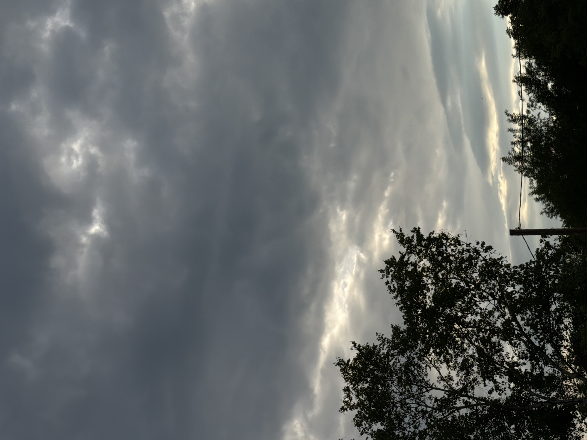 The image captures a twilight sky with dramatic, dark clouds. Sunlight breaks through in patches, creating a diffused glow against the darker sky. In the foreground, the silhouetted branches of trees are visible, with one tree on the left side of the frame being particularly prominent and detailed. Below the trees, a dark utility pole with wires is positioned to the right of the large tree, suggesting an outdoor, potentially semi-rural or suburban setting. The overall mood is overcast and moody. The location in the city of Novi, Russia is not explicitly identifiable from the visual information.