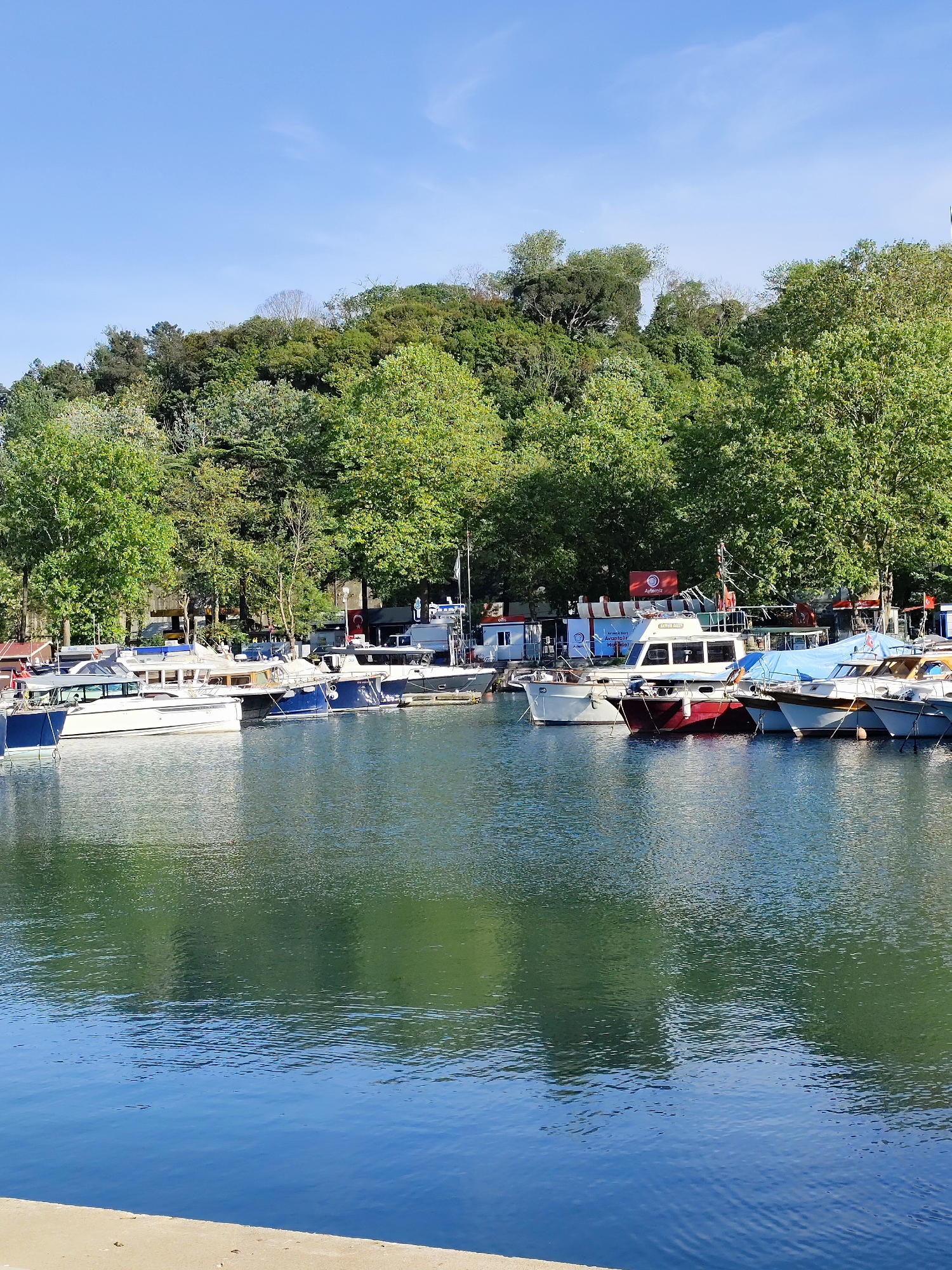The image captures a serene harbor scene in the city of Sarıyer, Turkey. A row of diverse boats of varying sizes and colors are docked, their reflections shimmering on the calm water's surface. Behind the boats, a lush green hillside provides a natural backdrop. The sky is clear and blue, indicating a bright, sunny day. The foreground features a concrete edge, suggesting a walkway or dock area. The scene overall portrays a peaceful waterfront setting.