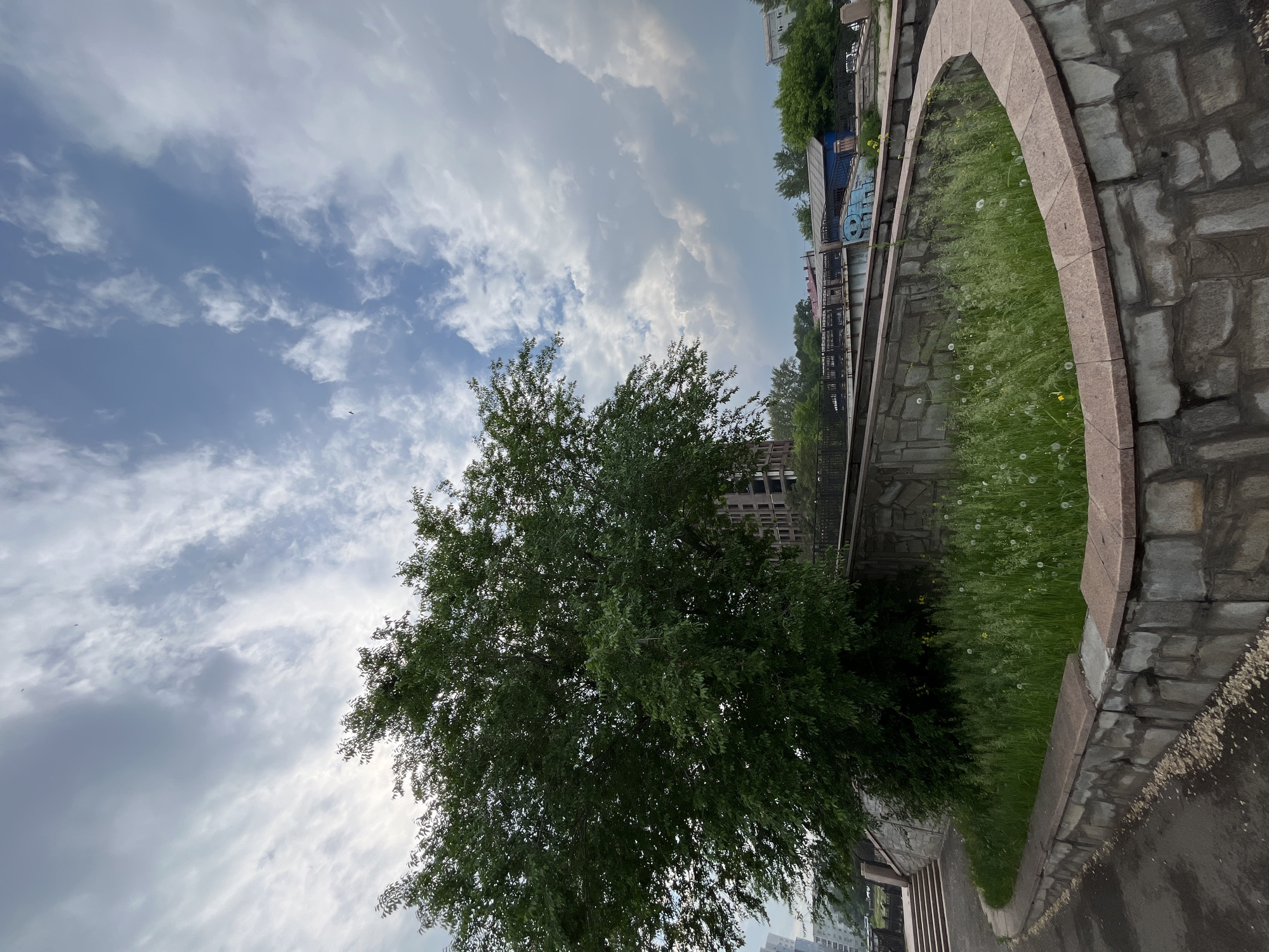 The image shows a park pathway in Krasnoyarsk, Russia, with a curved stone retaining wall and a large tree. The sky is cloudy, with the sun visible through the clouds. In the background, there are buildings and trees. The pathway is made of asphalt, and the retaining wall is constructed from rough-hewn stones with a pink granite cap. A patch of tall grass with dandelions is visible behind the wall, adjacent to the base of the tree. A set of concrete stairs leads up to the left of the frame. The overall scene depicts an outdoor urban environment in Krasnoyarsk.