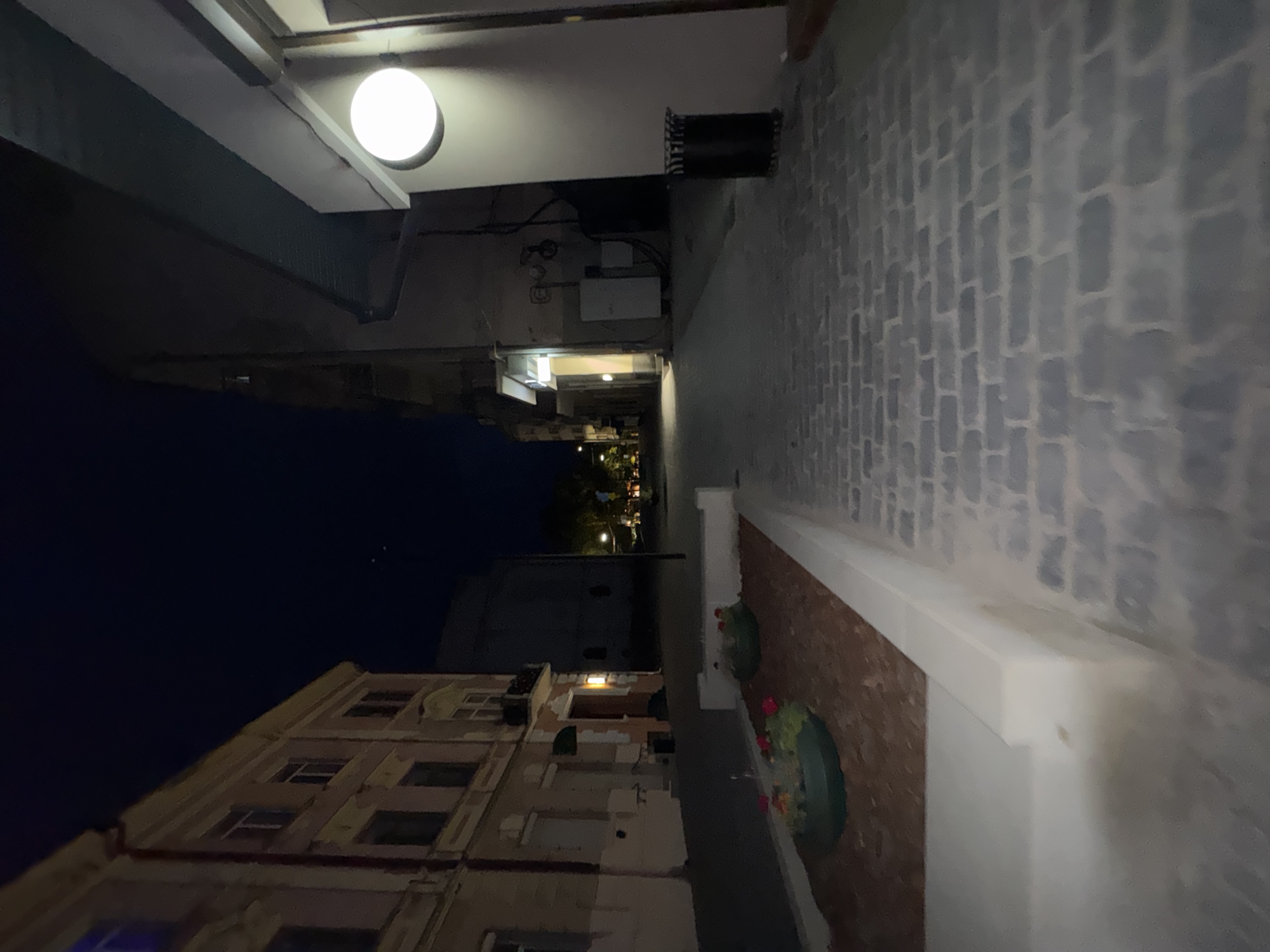 This is a night-time, ground-level, wide-angle vertical shot of a cobblestone alleyway in Chernivtsi, Ukraine. On the left, a light-colored, multi-story building with visible windows and architectural detailing lines the alley. In front of this building, a raised rectangular planter box filled with brown soil and two round planters containing red flowers and green foliage is situated. To the right, a darker, taller building rises, featuring a prominent round, illuminated light fixture and a dark trash receptacle. The alleyway itself is paved with grey cobblestones that recede into the distance. The overall atmosphere is that of an urban street at night, with artificial lighting casting shadows and illuminating the pathway.