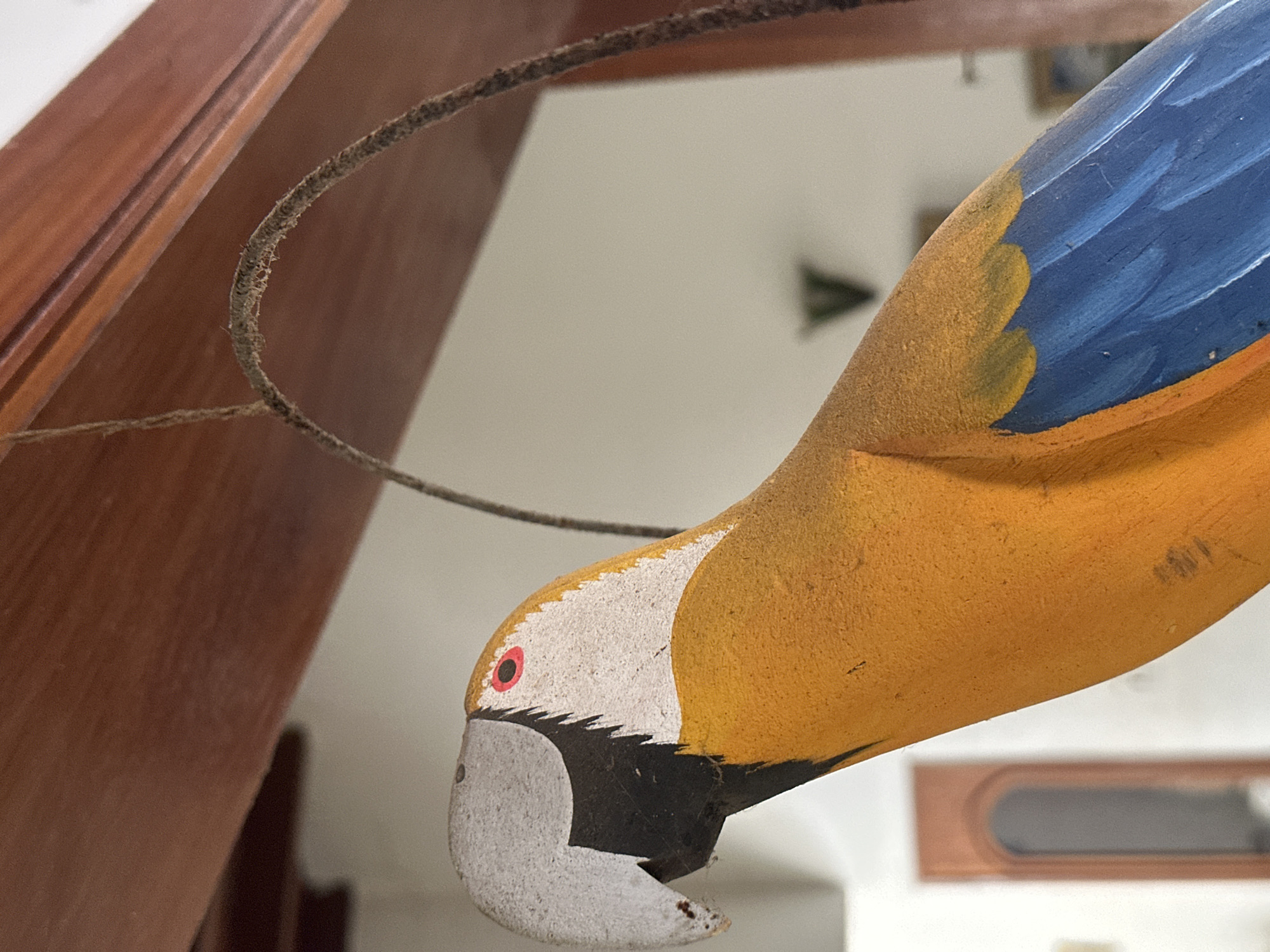 An upward-angled close-up depicts a painted wooden macaw figurine, hanging in an interior setting within the city of Juan Griego, Venezuela. The prominent subject is a yellow-orange parrot with a white head, a distinct red eye, a black beak area, and blue wings accented with yellow near the shoulders, positioned in the foreground and facing left. The figurine's surface exhibits a textured, slightly worn appearance. A coarse, fibrous string, showing signs of wear, suspends the parrot, arching behind its head and extending out of frame upwards. In the immediate background, a reddish-brown wooden beam runs diagonally across the upper portion of the image. The more distant background features a blurred, light-colored wall. On the far left, an out-of-focus, dark, arched doorway or opening is visible, while faint, indistinct shapes, including a 'V'-like object and a rectangular element, are present on the right side of the background.
