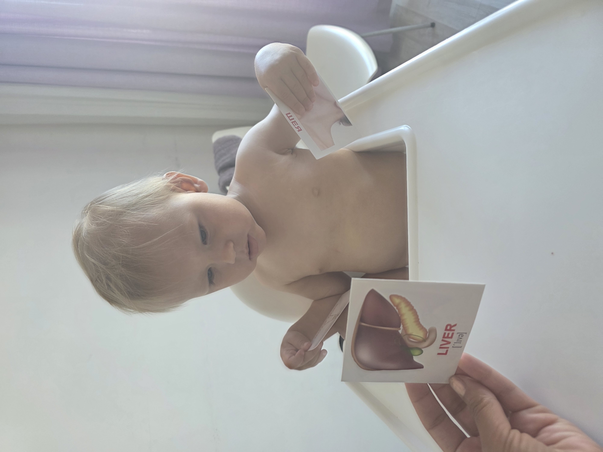An infant is sitting in a high chair and holding an educational card with an illustration of a liver. The infant has blonde hair and is looking down at the card. Another card with a partial illustration of a liver and text is being held by a hand out of frame. The background consists of a white wall and a sheer curtain. The location is not Sochi, Russia.