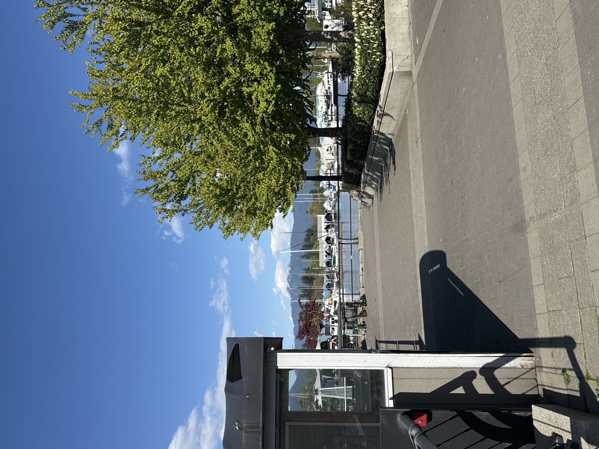 The image depicts a view of Coal Harbour in Vancouver, Canada. In the foreground, there is a portion of a building with windows and a black awning. A gray sidewalk runs along the harbor's edge. Beyond the sidewalk is the water, where several boats are docked at a marina. Trees line the harbor, with a large green tree in the upper left. In the background, mountains are visible against a blue sky with scattered clouds. There is a person visible in the marina.