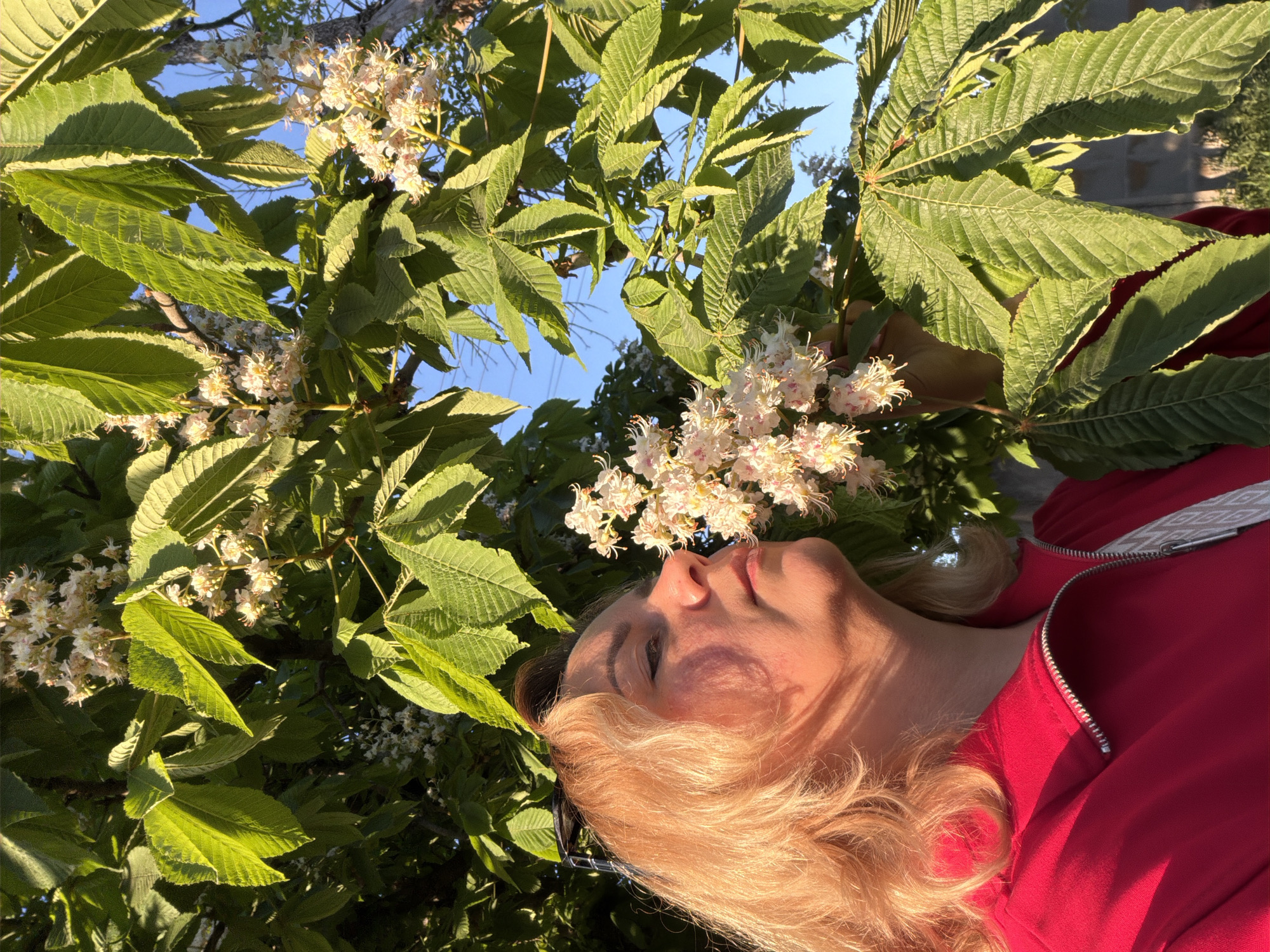 A woman with blonde hair is photographed outdoors, appearing to be lying down beneath a chestnut tree in bloom. She is wearing a red jacket. The location is Leningradskaya, Russia. The photo is taken from a low angle, looking up into the tree, and the sky is visible through the leaves and blossoms. The sunlight is dappled across her face and clothing.