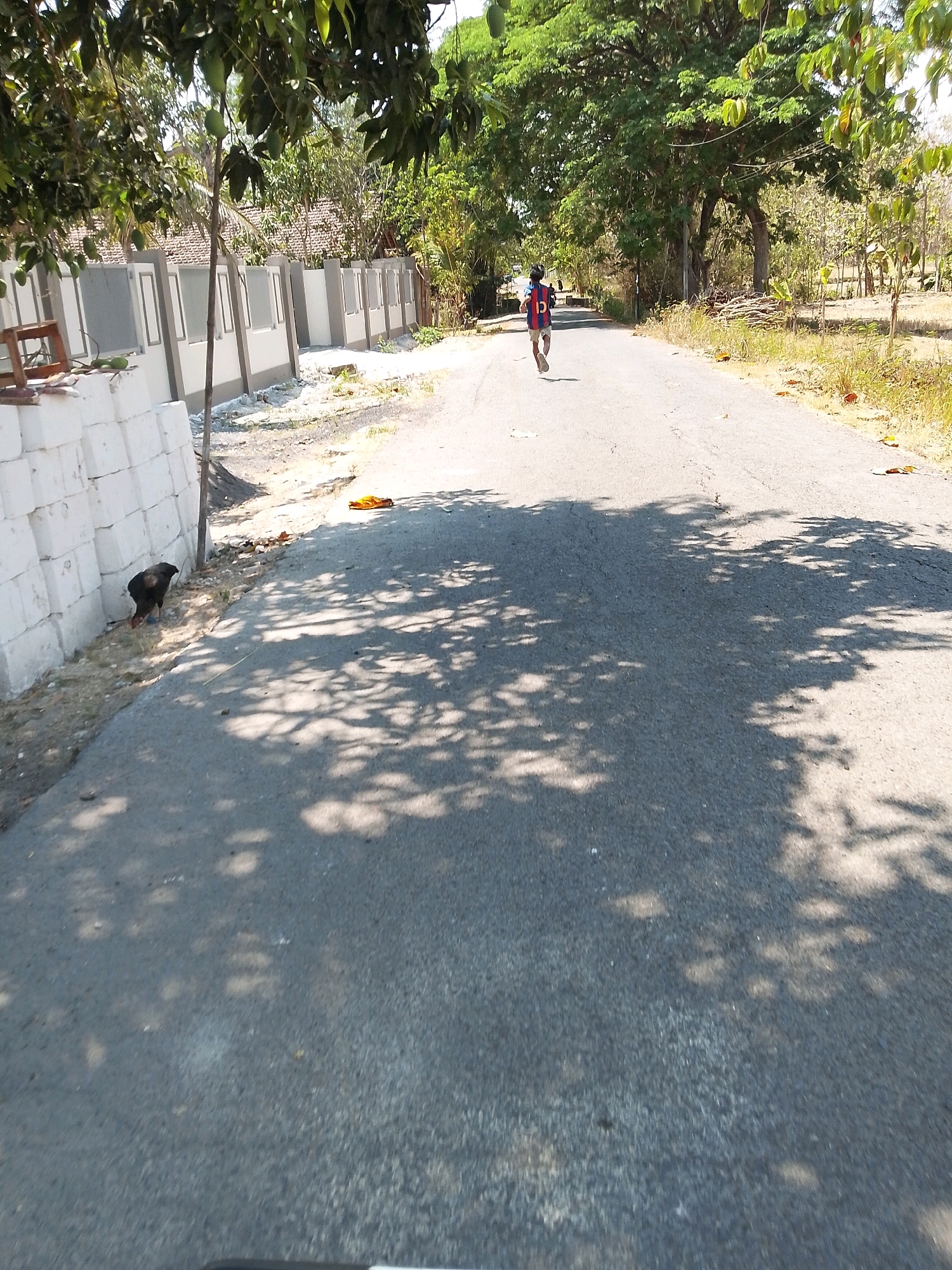 In Grebegan, Indonesia, a person is riding a bicycle on a paved road. The cyclist, wearing a blue and red jersey with the number 10 on the back, is moving away from the camera. The road is bordered by a white wall on the left and vegetation on the right. Shadows of trees are cast across the road, indicating a sunny day. A black chicken is visible near the wall on the left side of the image.