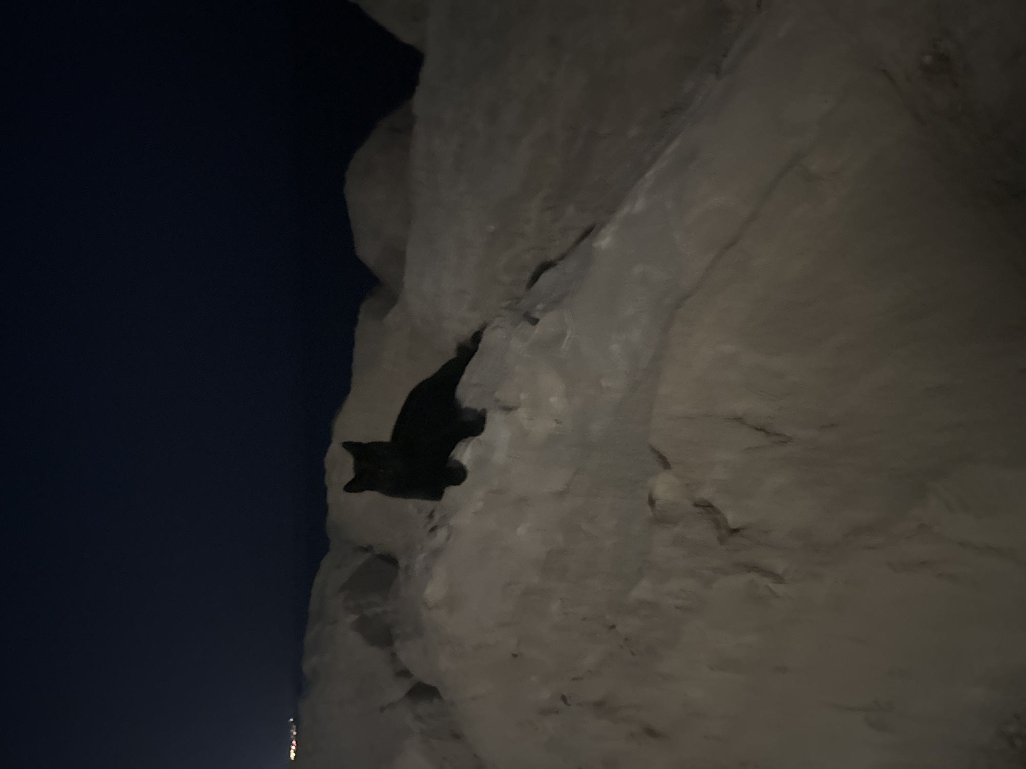 A black cat is lying on a sandy embankment at night. The cat is facing the camera with its ears perked up. The embankment appears to be made of light-colored sand or rock. In the background, the dark sky is visible, with a faint light on the horizon that could indicate city lights or a distant coastline. The overall lighting suggests it is nighttime, and the scene is illuminated by ambient light. The location is identified as Agios Tychona Community, Cyprus, suggesting a coastal or beach environment.