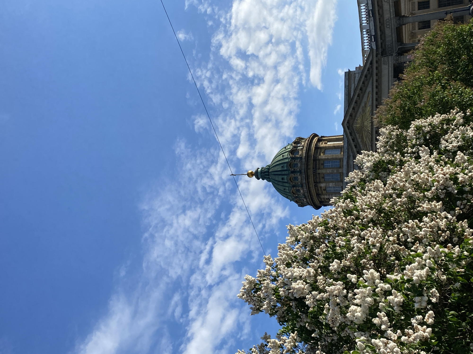 The image, taken in Saint Petersburg, Russia, features a low-angle view of a grand architectural structure, likely the Kazan Cathedral, framed by flowering trees and a bright blue sky. A prominent green dome, capped with a golden finial, dominates the upper right portion of the building. Below the dome, a section of the cathedral's classical facade is visible, showcasing columns, windows, and ornate details.
In the foreground, dense clusters of white flowers with green foliage stretch across the lower right and center of the frame, adding a vibrant natural element to the scene. The sky, occupying the upper left and central areas, is a vivid blue with scattered, fluffy white clouds, indicating clear and pleasant weather. A thin, dark wire (possibly a utility cable) extends diagonally across the sky. The scene is brightly lit by direct sunlight, suggesting it is daytime, likely late morning or early afternoon. No people or visible text are present. The composition combines architectural splendor with natural beauty, set against a serene sky.