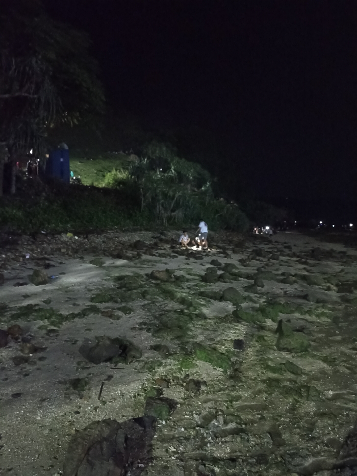 The image captures a nighttime scene on a rocky, sandy coastline, likely a beach or tidal area, in Kecamatan Pujut, Indonesia. The sky is dark, indicating late evening or night, and the area is lit primarily by localized artificial light sources.
In the foreground and midground, the terrain consists of rough, irregular rocks interspersed with sandy patches and some green, moss-like growth, possibly algae. Several individuals are present, forming small groups. Two people are prominently featured in the midground, one kneeling and one standing, gathered around a bright light source on the ground, which could be a small campfire or a powerful lantern. This light illuminates their immediate surroundings, casting shadows.
To the left, at the base of a dark, vegetated hillside, a bright blue portable toilet or small tent is visible, also illuminated by a nearby light. More indistinct figures can be seen congregating in this area among the dense foliage. The hillside itself is covered in lush, dark green vegetation that extends up towards the black sky.
In the distance along the coastline to the right, several faint, scattered lights suggest the presence of more people or distant structures. The overall atmosphere is dark and natural, punctuated by these artificial lights. The activity appears to be a casual gathering or recreational outing on the beach at night, possibly involving a campfire or lanterns. There is no visible text in the image.
