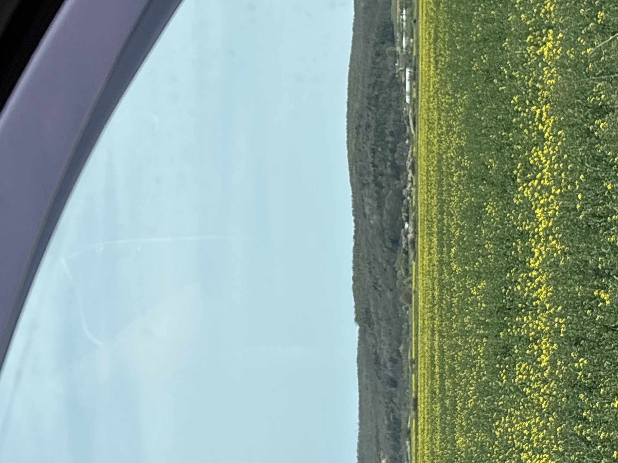 View from a car window in Staro Oriahovo, Bulgaria. The left side of the frame shows a portion of the car's interior with a light blue sky visible through the window. The right side of the frame presents a panoramic view of a hillside and a field of bright yellow rapeseed flowers in full bloom. The hillside appears partially wooded with sparse settlements scattered along the slope. No people are visible in the image.