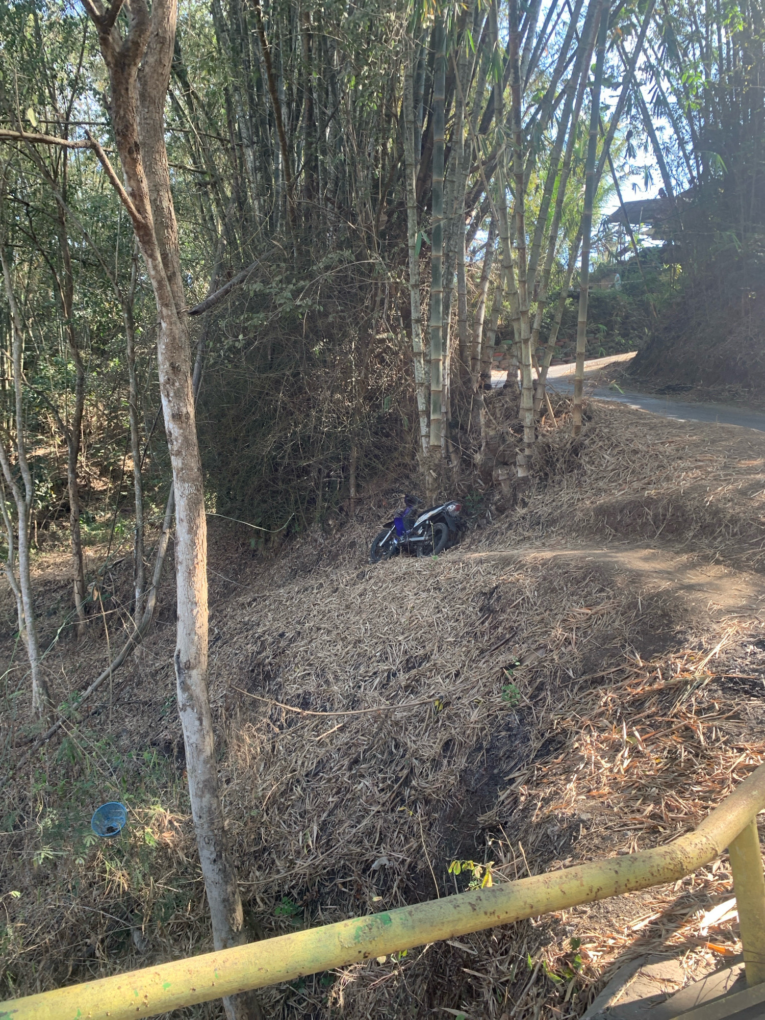 In Sukonolo, Indonesia, a dirt road winds through a dense bamboo forest. The ground is covered in dry bamboo leaves and debris. A motorcycle lies on its side on the edge of the road, partially obscured by the foliage. A weathered wooden railing runs along the foreground of the image, painted in a yellow and green hue, showing signs of rust and wear. The sun casts long shadows through the trees, suggesting it is either early morning or late afternoon.