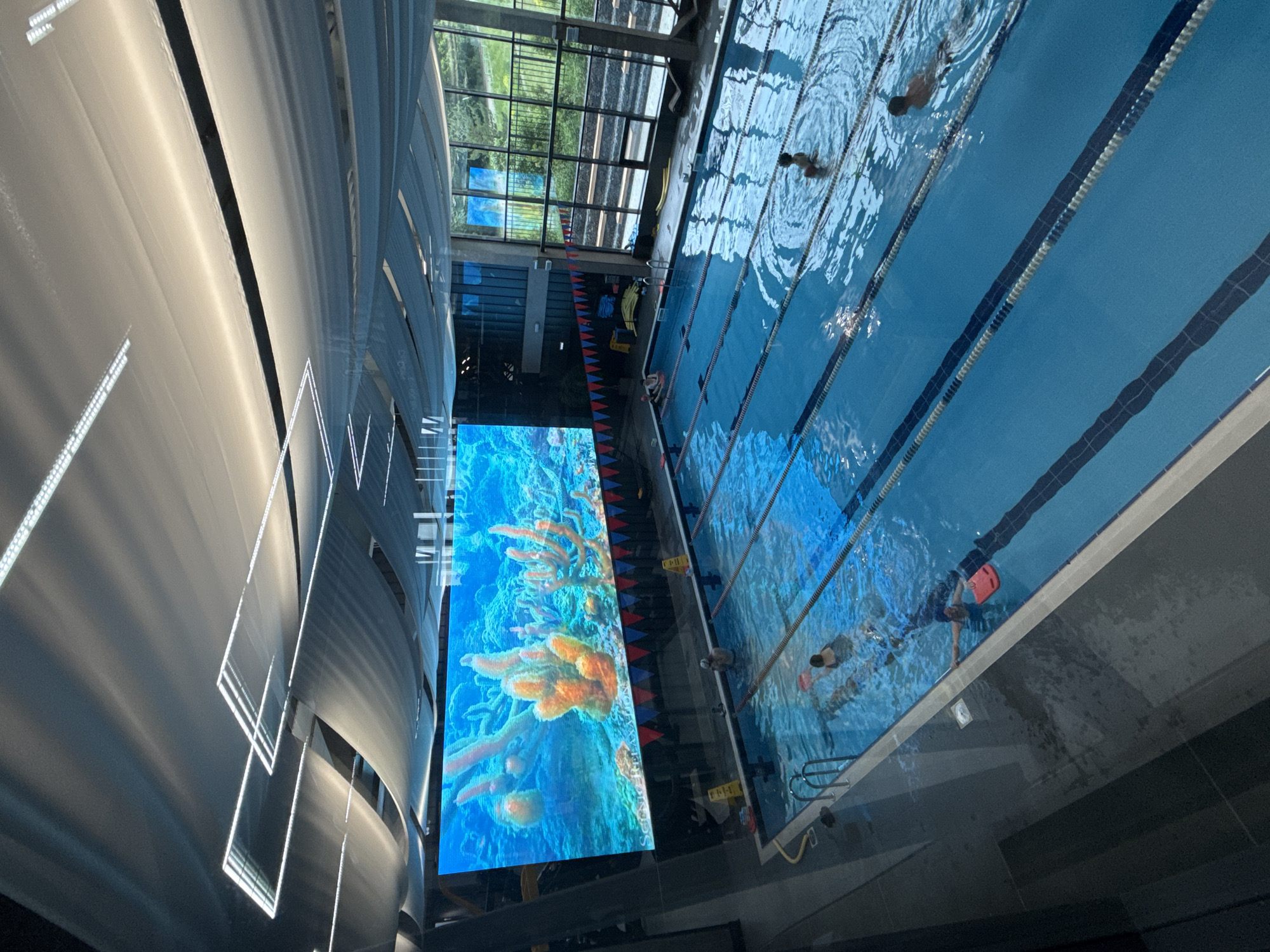 This is an elevated, wide-angle depiction of a brightly lit indoor swimming pool facility, located in the city of Votkinsk, Russia. A large, high-resolution LED screen on the far wall dominates the visual field, displaying a vibrant underwater scene of orange and white coral formations against a deep blue aquatic background, with the faint text "Scenic Relaxation" visible at its lower edge. Below the screen, a multi-lane swimming pool features clear blue water, marked by dark lane lines on its floor and separated by blue and white floating lane ropes.
Approximately six individuals are present in the pool. In the foreground-left lane, one person with a red kickboard is partially submerged, and another individual is swimming nearby. Towards the center of the pool, two people are swimming in separate lanes, while another person stands in the water, creating concentric ripples. Further towards the background-right, two additional individuals are visible in the water.
The ceiling above is characterized by an architectural design featuring multiple draped sections of white or light-gray fabric, creating soft undulations. Embedded within this ceiling structure are numerous linear LED light fixtures, some arranged in geometric patterns, providing bright, even illumination. To the right of the pool, a large expanse of multi-pane windows extends from floor to ceiling, revealing an outdoor area with green grass, fencing, and what appears to be terraced landscaping or seating. Red, white, and blue pennant banners are strung along the wall segment between the pool and the windows. The pool deck is composed of dark gray tiled or concrete flooring, and yellow caution cones are positioned at the pool's edge. Metal handrails are visible at the shallow end of the pool.