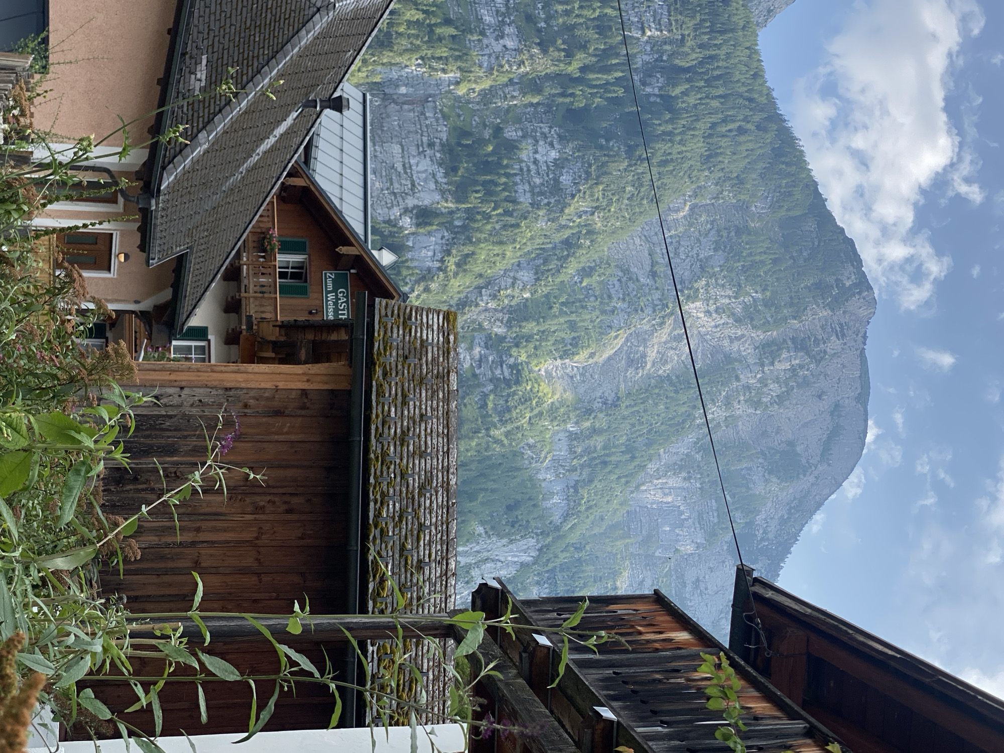 The image captures a view of the town of Hallstatt, Austria, with a prominent mountain in the background. The foreground features the rooftops and facades of several buildings, constructed with materials like wood and tile, some showing signs of moss growth. One building has a sign reading "GAST" with the words "Zum Weissen" below it, indicating a guesthouse or restaurant. Green shutters are visible on some windows, and a wooden balcony extends from one of the structures. Lush green vegetation, including tall plants with purple flowers and other leafy foliage, grows in front of the buildings, partially obscuring them. In the distance, a large, rugged mountain dominates the landscape, covered in dense green forest and characterized by rocky, layered cliffs. The sky above is partly cloudy with patches of blue. A power line stretches across the frame, in front of the mountain. The scene appears to be captured during daylight, under a bright sky.