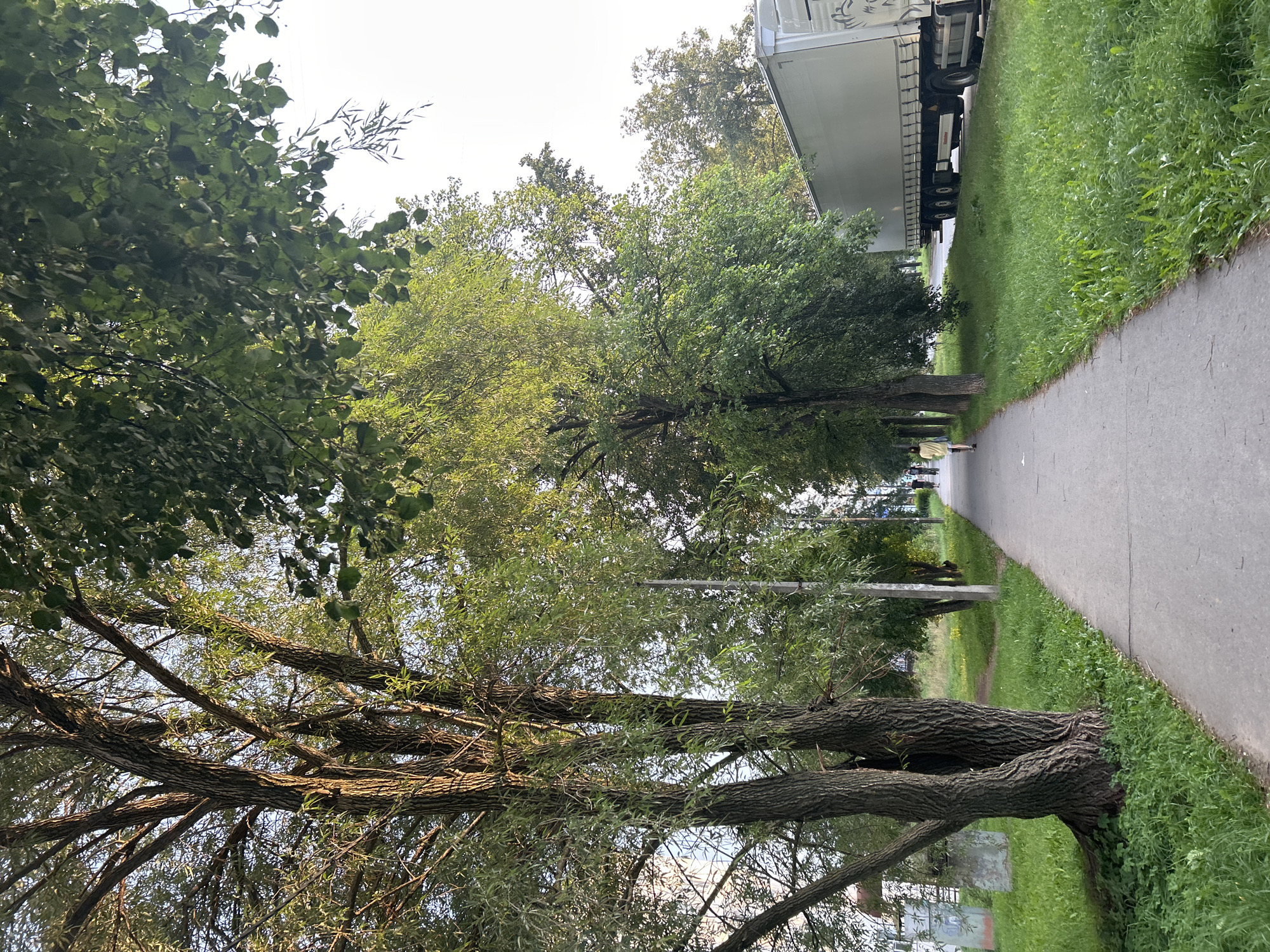 The image shows a paved pathway running through a grassy area lined with trees. On the right side of the pathway, a large semi-trailer truck is parked. The truck is light gray and has a long, rectangular cargo box with multiple axles. The truck's tires and undercarriage are visible. Beyond the truck, more trees are visible. On the left side of the pathway, there are several large trees with textured bark and a building with some graffiti on its exterior. Further down the pathway, a person wearing a yellow top and shorts is walking away from the camera. Two more people on bicycles are visible in the distance. The sky is overcast. The scene appears to be a public space in the city of Chaikovsky, Russia, likely a park or residential area with a sidewalk and green space.