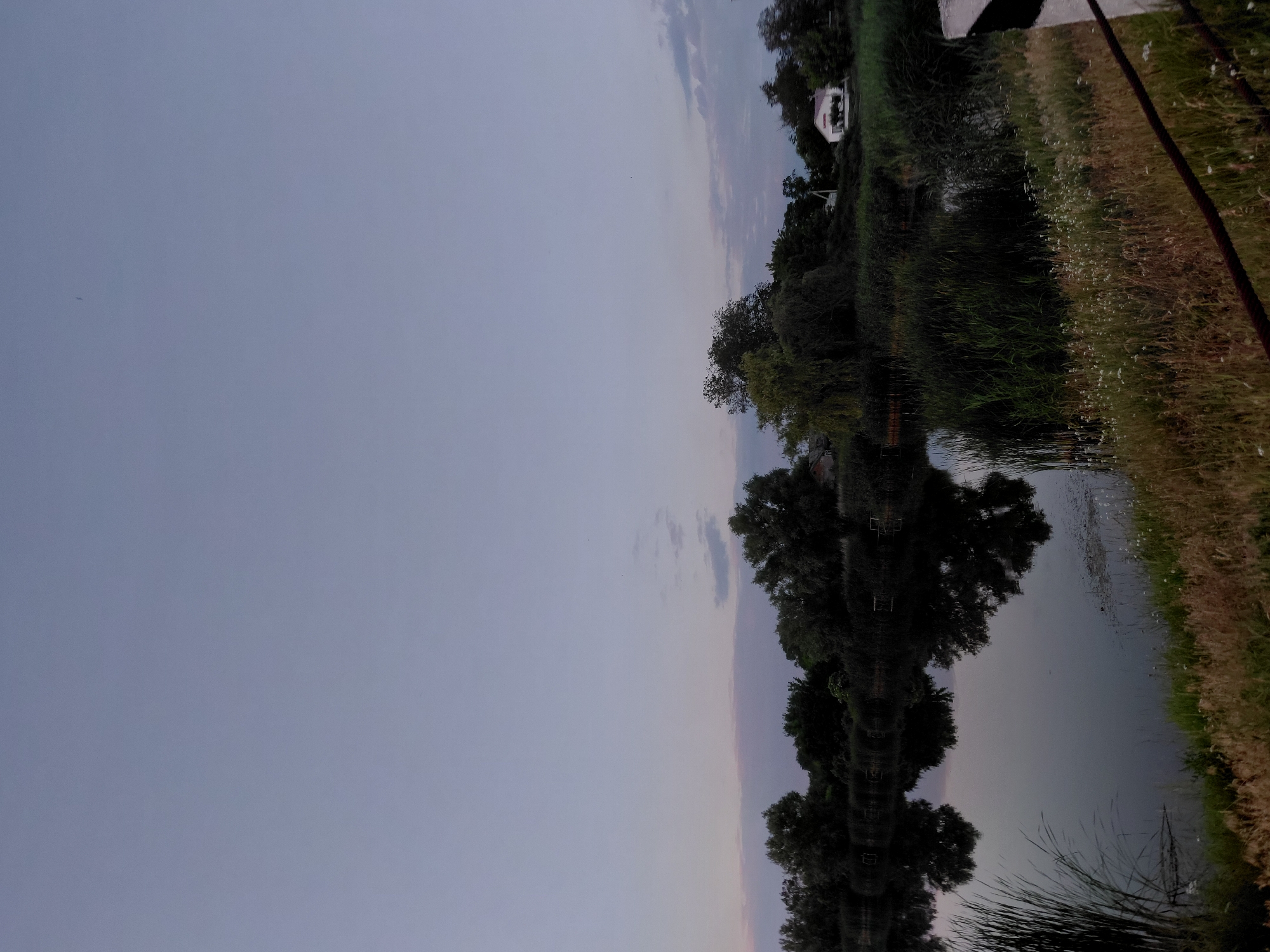 This is a photograph of a rural landscape in Ustyvytsia, Ukraine. The image depicts a calm body of water, possibly a river or lake, reflecting the trees and a pale, overcast sky. The water's edge is lined with tall reeds and grasses. In the background, dense trees form a dark silhouette against the horizon. A small white building with a red roof is visible amongst the trees on the right side of the image. A dark metal railing runs along the bottom right foreground. The overall lighting suggests it is either dawn or dusk. There are no people visible in the image.