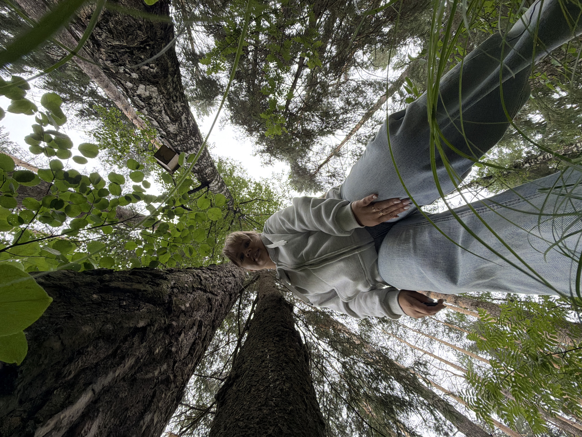 An individual stands in a forest in Chaikovsky, Russia, viewed from a low angle, looking up through tall trees. The person is wearing a light-colored hooded jacket and blue jeans. Their legs are positioned towards the camera, with one hand resting on their hip. In the background, several trees are visible, with green leaves and branches reaching towards the sky. A small wooden birdhouse is attached to one of the trees. The ground is covered with grass and foliage. The lighting suggests it is daytime, with overcast conditions.