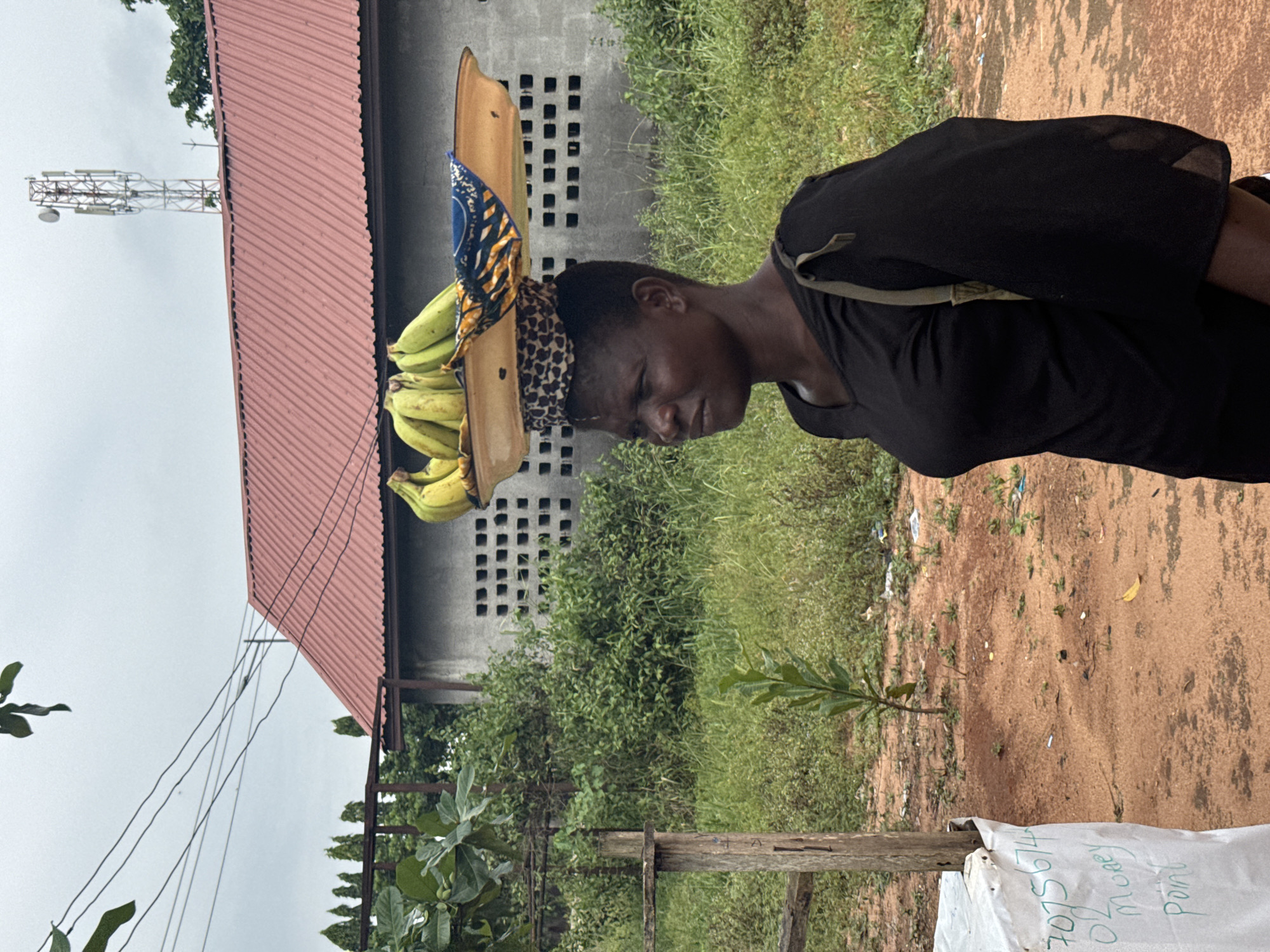 This outdoor image, taken in Ihiagwa, Nigeria, captures a woman carrying a tray of bananas on her head. The woman, shown in profile and facing right, wears a black top and has a patterned scarf beneath the wooden tray, which holds a large bunch of green-yellow bananas. Her expression appears focused or neutral.
The background features a building with a reddish-brown corrugated metal roof and a grey concrete wall characterized by square vents. Beyond the building, a tall, metal communication tower with multiple antennas rises against an overcast, light grey sky. The ground is a mix of reddish-brown dirt and green grass, with various bushes and smaller trees, including a young sapling, scattered throughout the scene. Utility lines are visible stretching across the sky near the building.
In the foreground, to the right, there is a white sack or bag with handwritten text on it. Partially visible, the text appears to include a phone number "70756974" and the words "money point," suggesting a mobile money or financial service. A wooden post stands next to the bag. The scene depicts a typical daytime setting, likely under cloudy skies, in what appears to be a semi-urban or rural environment.