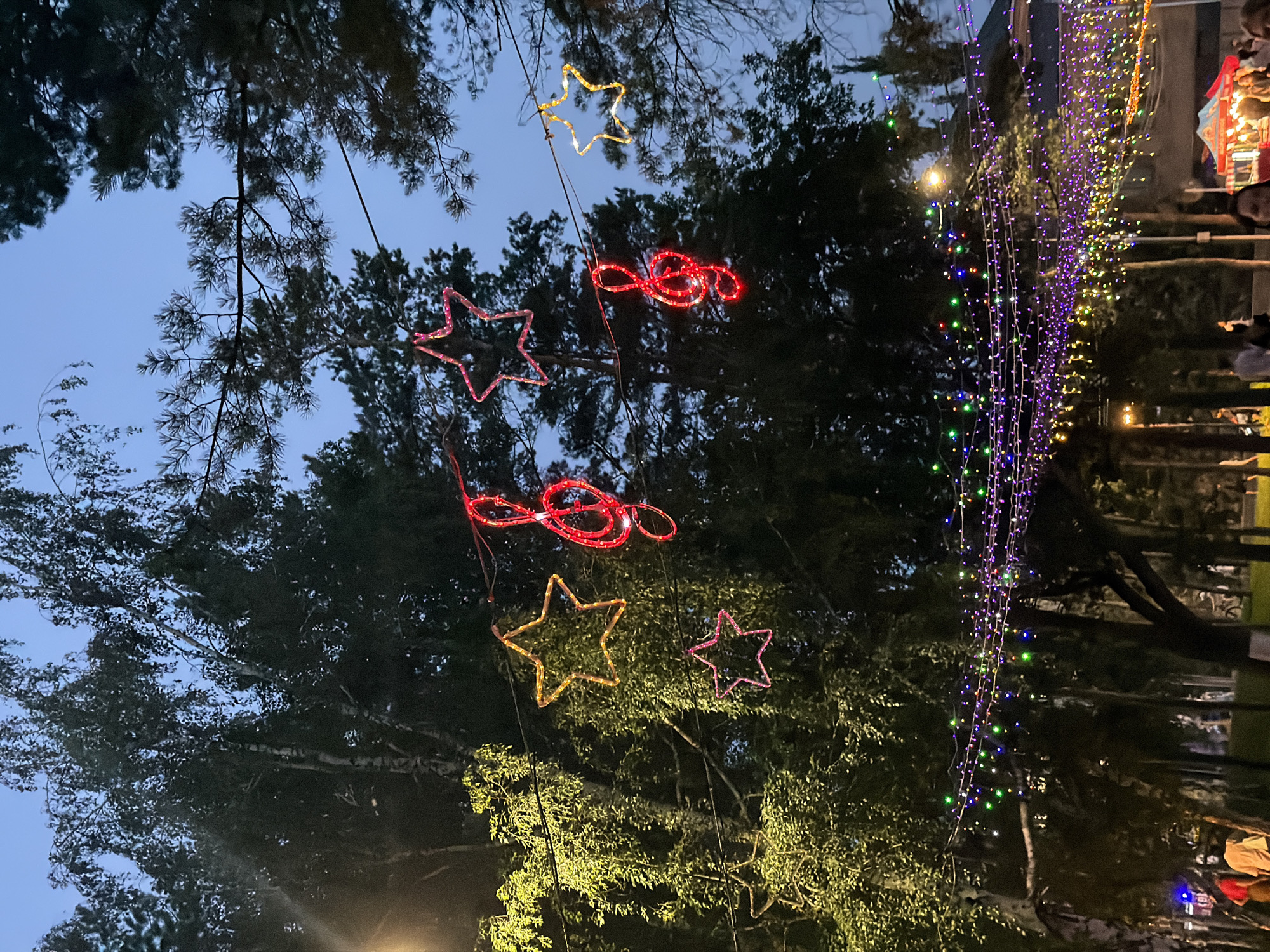The image depicts an outdoor scene at dusk, possibly in a park or a public square, adorned with decorative lights. Several large, illuminated star shapes in yellow and pink are suspended from wires, intertwined with tree branches. Two red, illuminated treble clef symbols are also visible, adding a musical theme to the decorations. Lower down, strings of colorful lights, primarily purple and green, are strung across the area, creating a festive ambiance. Silhouettes of people are present in the background, suggesting a public gathering or event. The environment features mature trees with dark foliage against a twilight sky. While the specific location in Pavlodar, Kazakhstan, is not visually identifiable from the image alone, the presence of decorative lights and a public space with people suggests it could be a festive display in a park like the Central Park or along the embankment of the Irtysh River, common areas for public events and celebrations in the city.