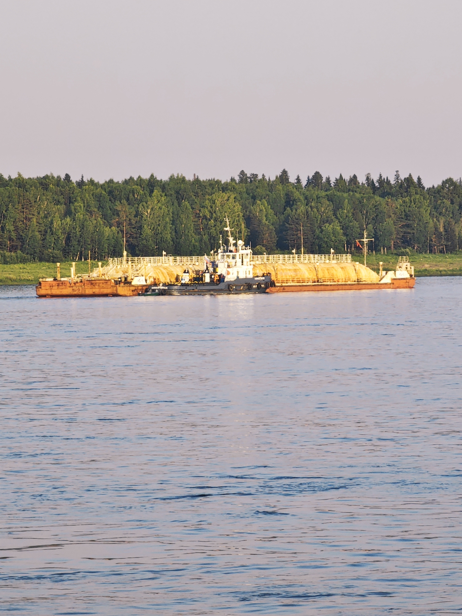A fleet of barges is navigating a wide river under a clear sky. The barges are loaded with what appears to be sand or gravel, with some being bright orange and others a lighter, sandy color. A tugboat is positioned at the front, guiding the barges. The riverbank is densely lined with a green forest. The scene is set in the city of Lesosibirsk, Russia.