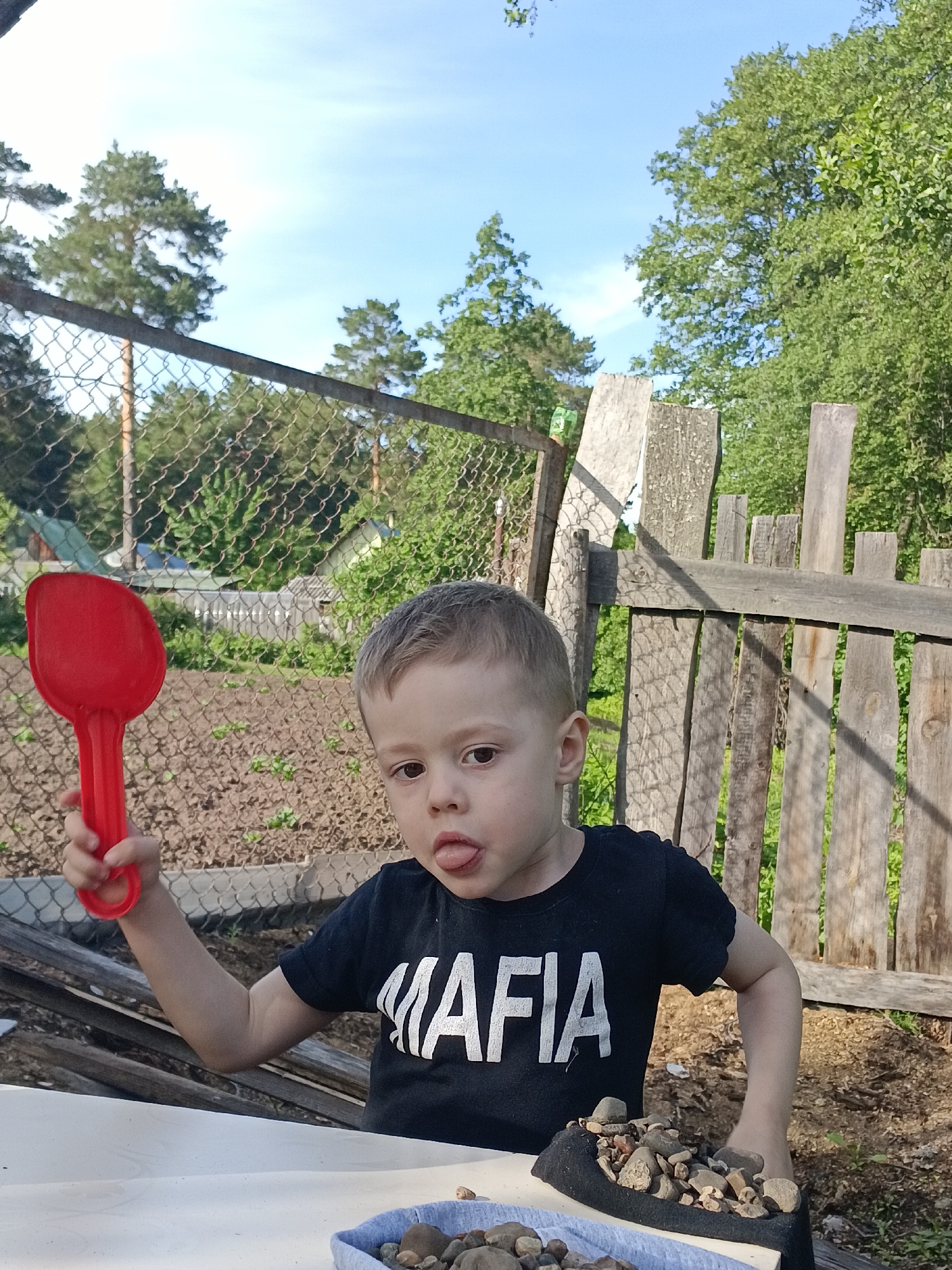 A young boy with short brown hair is prominently featured in the foreground of an outdoor scene, likely a backyard or garden area in Chaikovsky, Russia. He is sitting at a white table and wearing a black t-shirt with the word "MAFIA" printed in white capital letters across the chest. The boy is looking directly at the camera with a playful or mischievous expression, sticking out his tongue slightly.
In his raised left hand, he holds a bright red toy shovel. On the table in front of him are two dark-colored containers, both filled with various small, light-colored rocks or pebbles, suggesting he is engaged in play.
The background reveals a rural or suburban setting. Behind the boy is a rustic wooden fence made of vertical planks, with sunlight casting shadows across it. Further back and to the left, a chain-link fence is visible, partially obscuring a tilled garden bed and several small houses with green roofs. Beyond the fences and structures, numerous green trees, including tall conifers and deciduous trees, dominate the landscape. The sky above is clear and light blue, indicating bright daylight, likely during the morning or late afternoon. The overall impression is one of a cheerful and casual outdoor playtime.