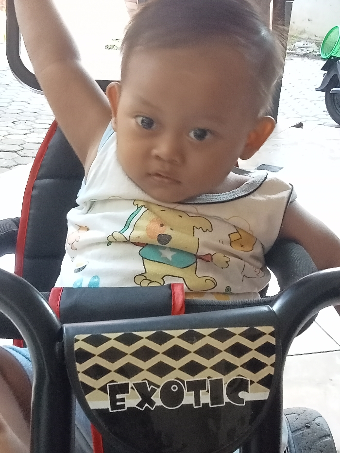 Memory