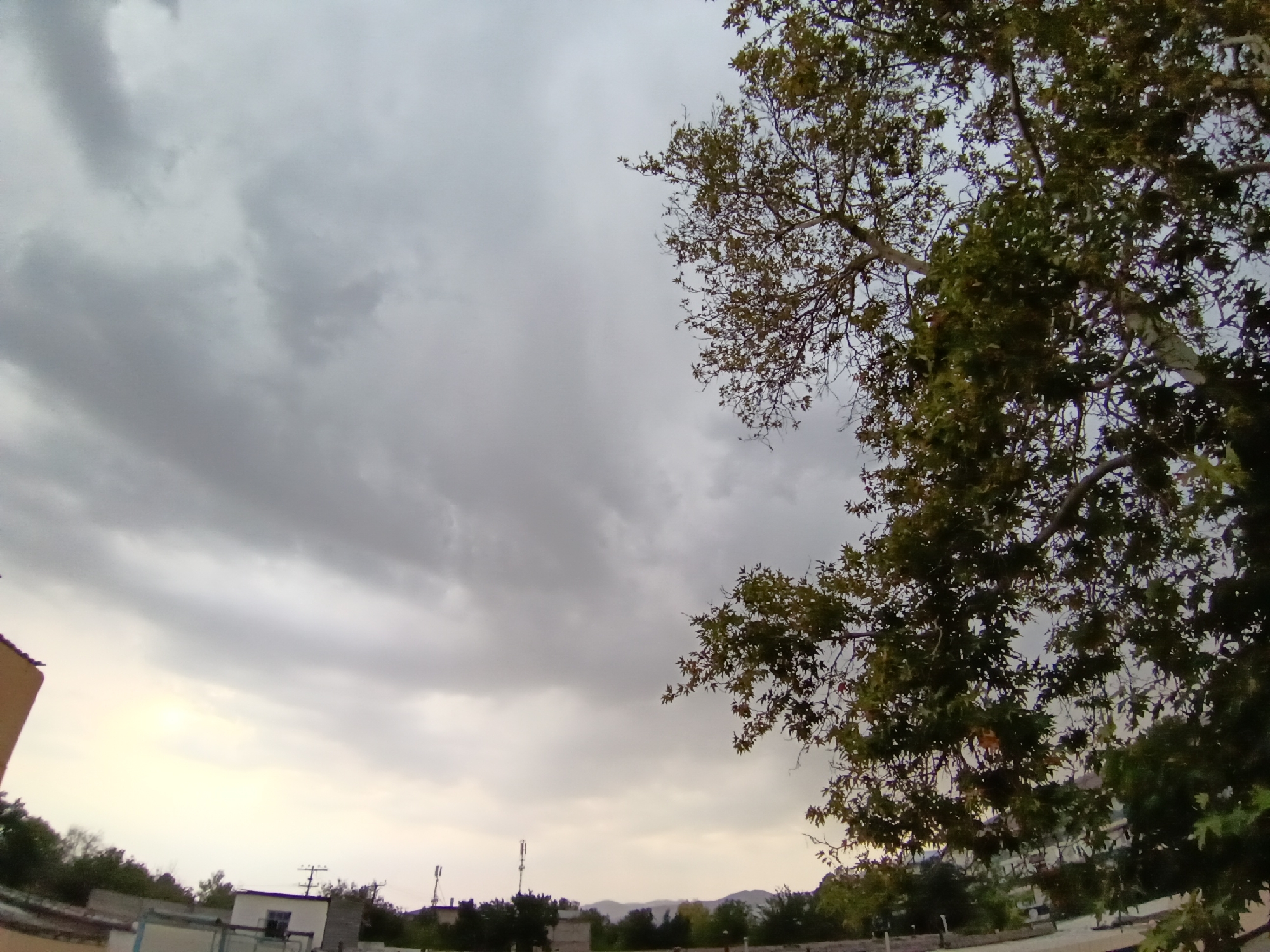 The image captures a dusky sky filled with heavy, grey clouds over Angren, Uzbekistan. In the foreground, a large tree with dense green foliage extends from the right side of the frame, its branches reaching towards the cloudy expanse. Below the tree and to the left, a low-rise building with an orange-yellow facade is partially visible. Further in the background, a line of structures, including a white building with a blue trim and a rooftop antenna, are silhouetted against the dim sky. Trees and distant hills can be seen beyond these structures. The overall scene suggests an overcast day, possibly before or during a rain shower.