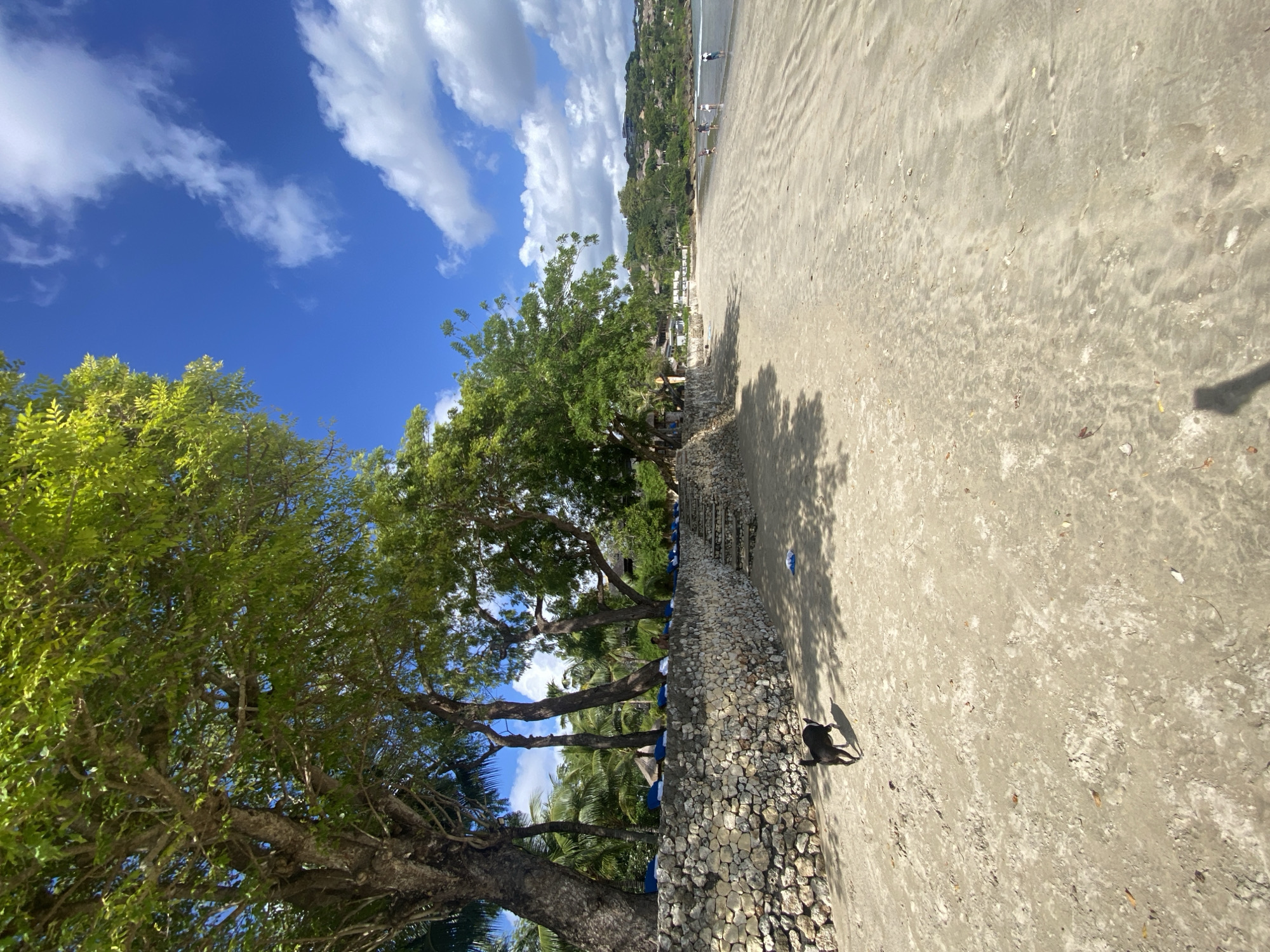 A black and tan dog trots across a sandy beach in Kuta Selatan, Indonesia. The dog is in the foreground, casting a shadow to its right. Behind the dog is a stone wall topped with lounge chairs and lush green trees. The beach extends to the right, where several people are seen walking near the water's edge. The sky is a vibrant blue, dotted with fluffy white clouds. The scene is bathed in bright sunlight, with dappled shadows from the trees on the sand.