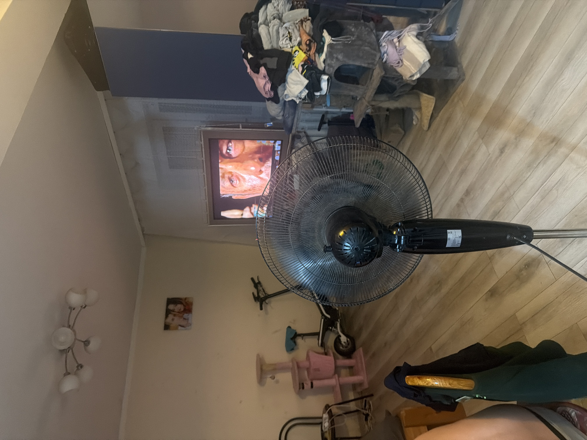 The image depicts an indoor scene, likely a living room, with a standing fan in the foreground. The fan is black and appears to be in operation, with its blades partially visible. In the background, a television screen displays a close-up of a man's face. To the left of the television, a pink cat tree is visible, along with a foldable scooter. The walls are painted a light color, and a ceiling light fixture with multiple bulbs is present. A framed picture of two people is hanging on the wall. To the right of the television, a pile of folded clothes is stacked on a wooden shelf unit. The floor is made of light-colored wood laminate. The overall impression is of a lived-in space. There is no information in the image to suggest a specific location within Szczecin, Poland.
